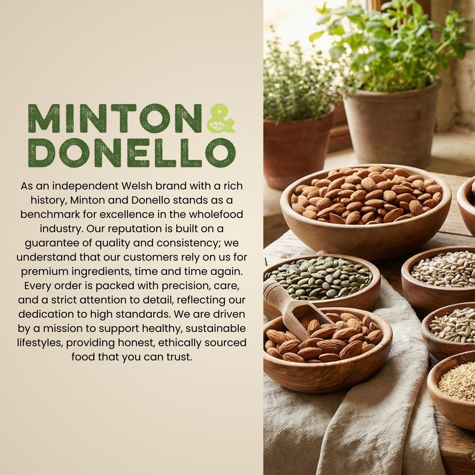 Minton & Donello Sunflower & Pumpkin Seed Mix - Nutrient-Rich Blend | 500g Pack 5