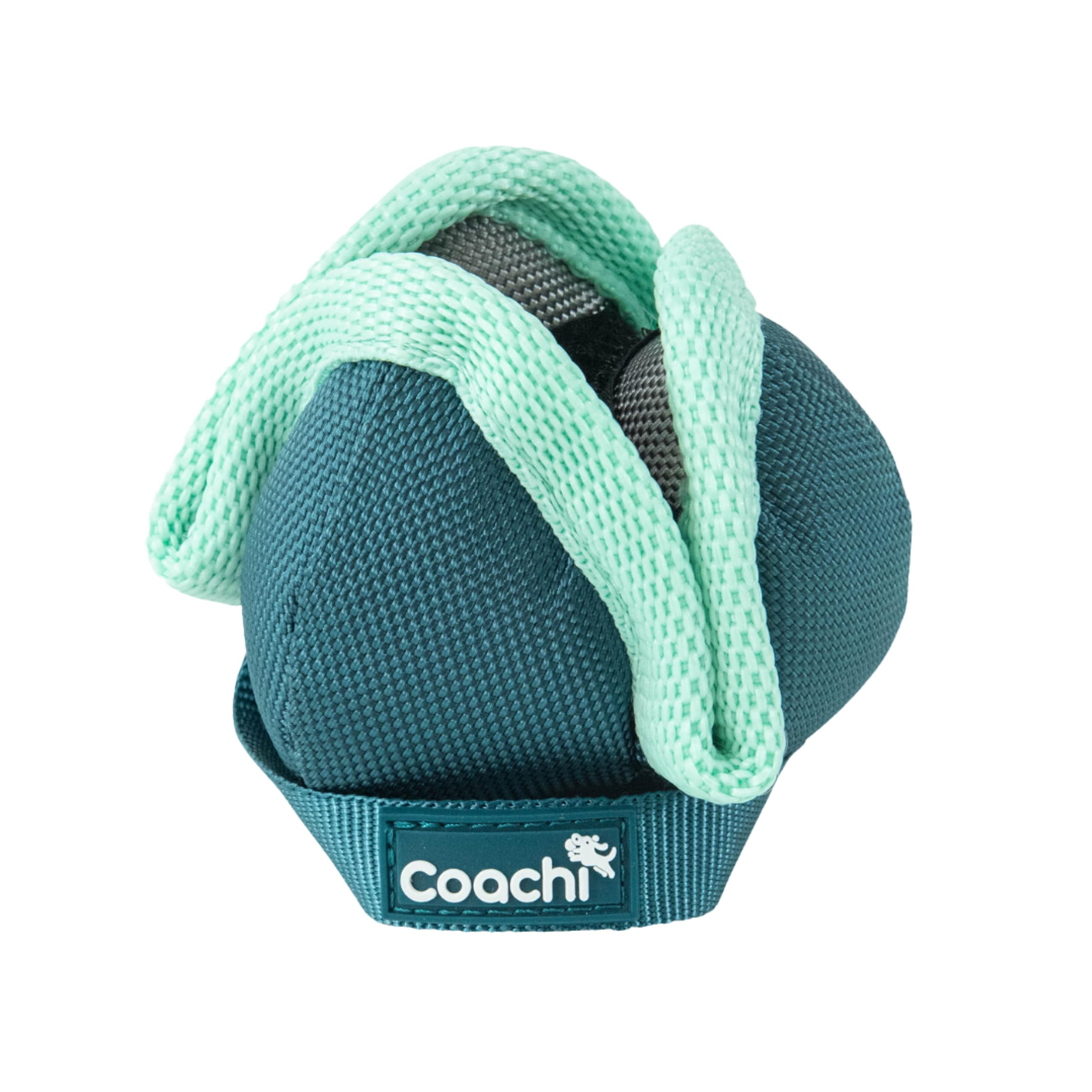 Coachi Puppy & Mini Chase & Treat Ball - Lightweight Fetch Toy for Small Dogs | Teal & Mint 1