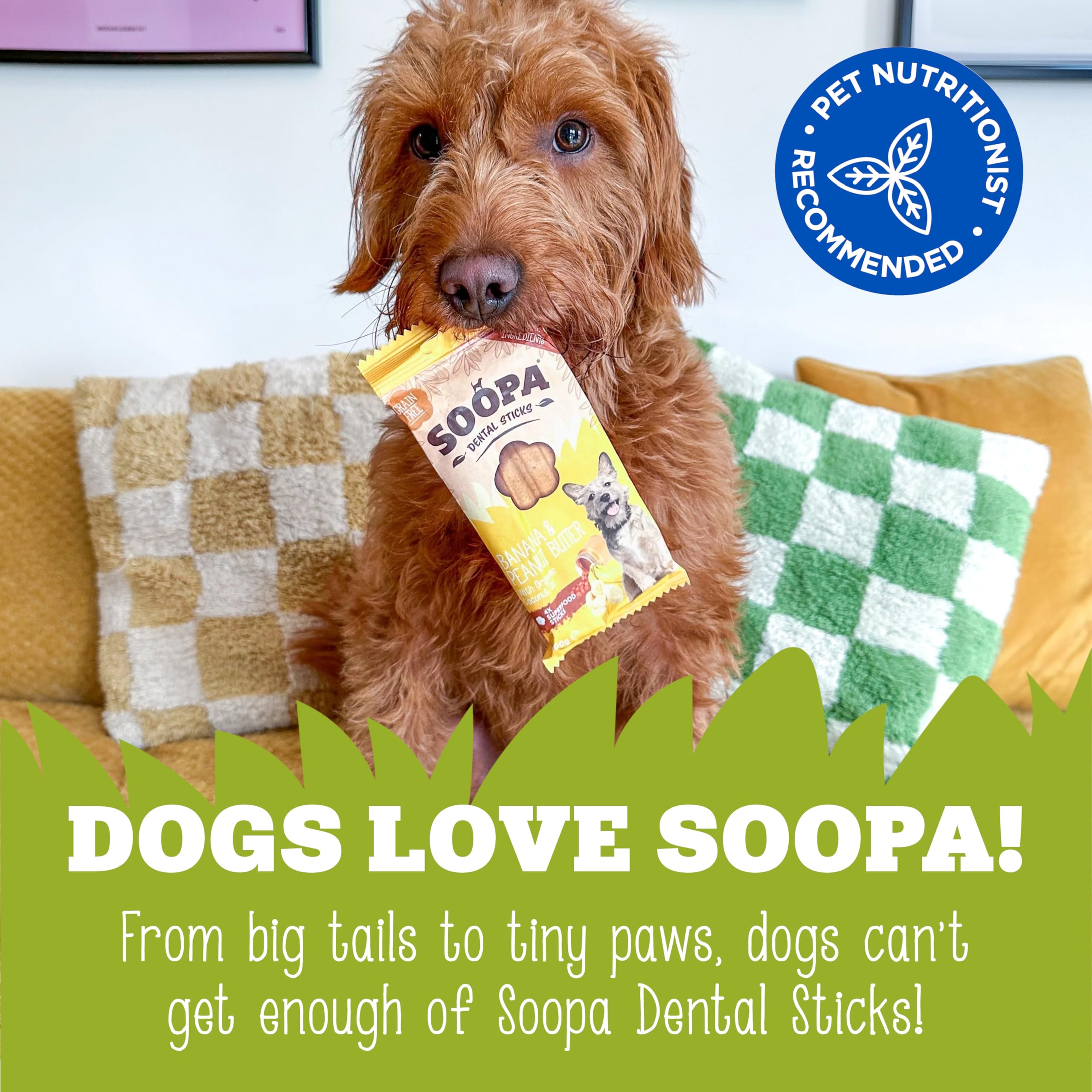 Soopa Apple & Blueberry Dental Sticks - All Natural | Low Fat | All Life Stages 6