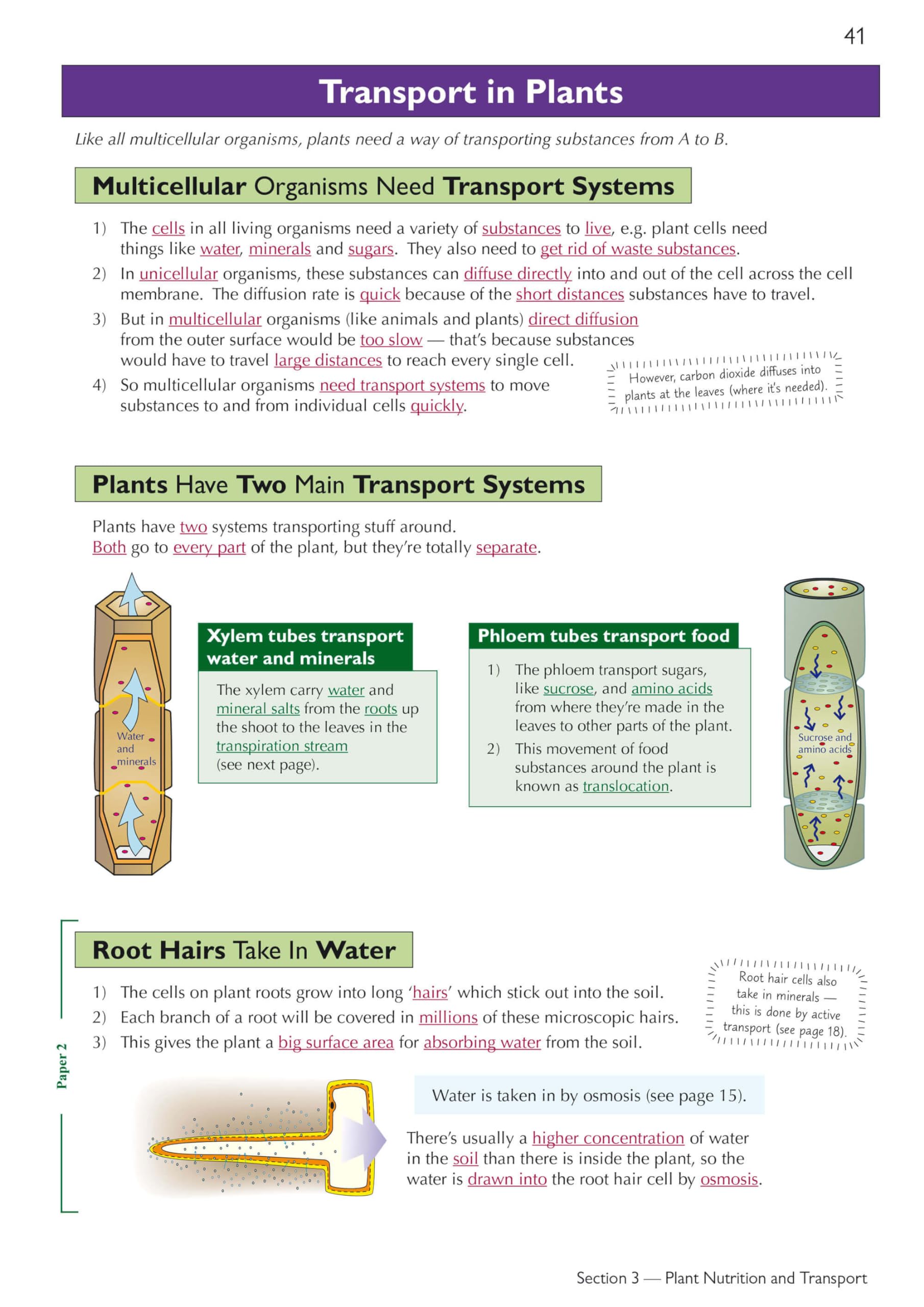 CGP Grade 9-1 Edexcel International GCSE Biology: Complete Revision & Practice with Online Edition | Paperback 3