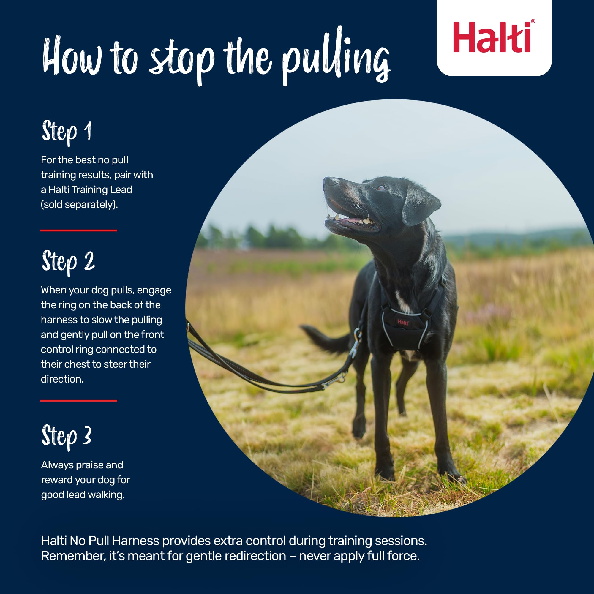 Halti No Pull Dog Harness - Stops Pulling, Comfortable Fit | Size M, Purple 4