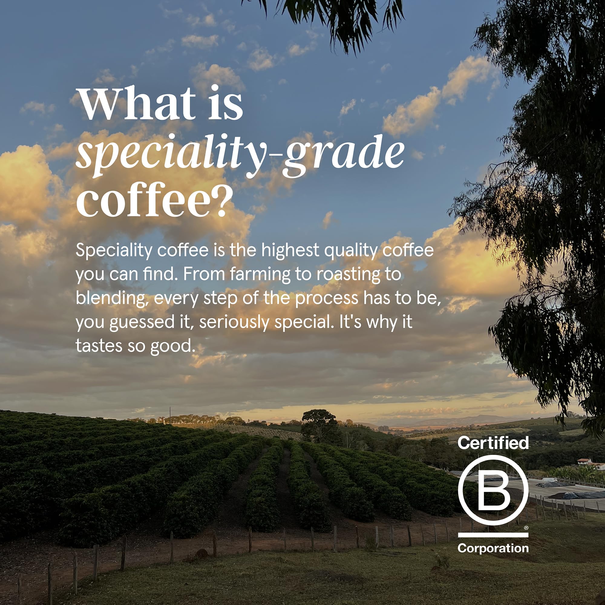 Grind - House Coffee Blend 1kg Whole Coffee Beans 8