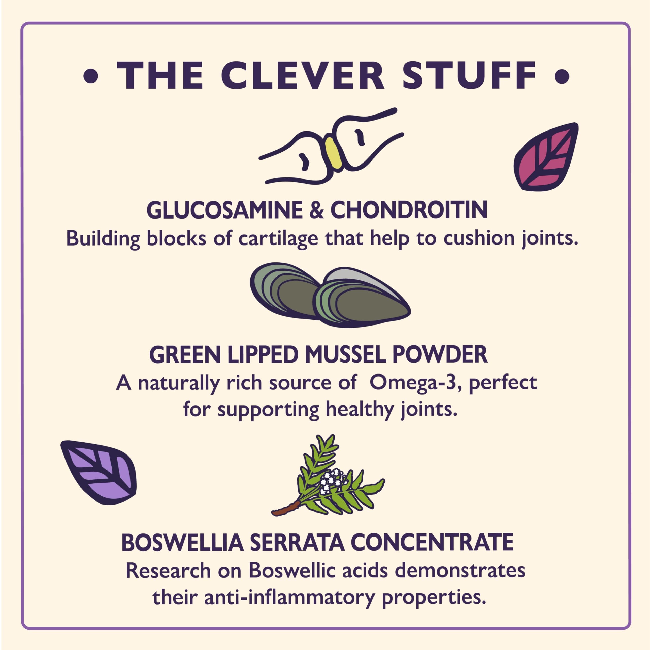 Lily's Kitchen Joints & Mobility Supplements for Adult & Senior Dogs | Glucosamine & Chondroitin 2
