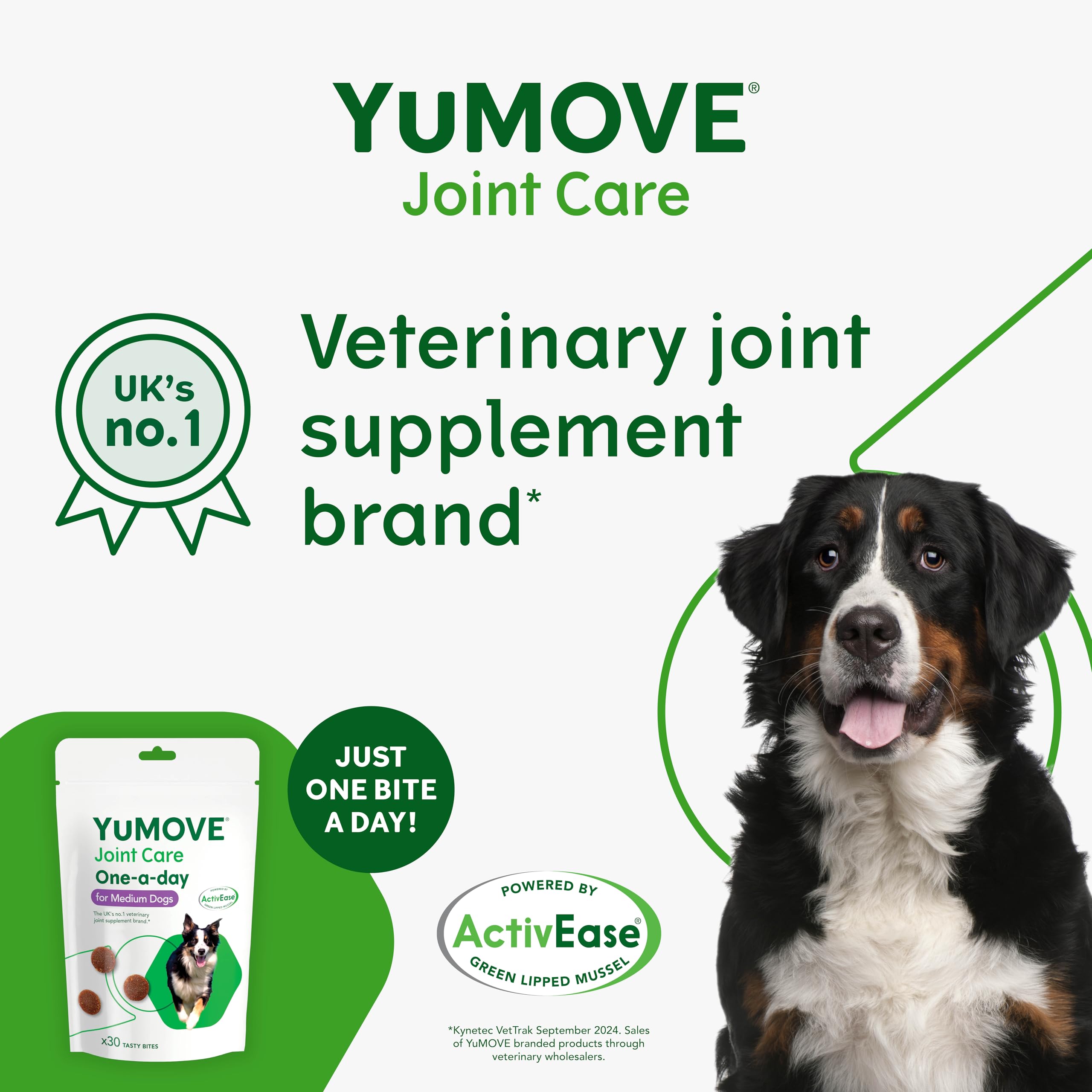 YuMOVE Joint Supplement for Dogs - One-A-Day for Stiff Medium Dogs | 30 Chews 2