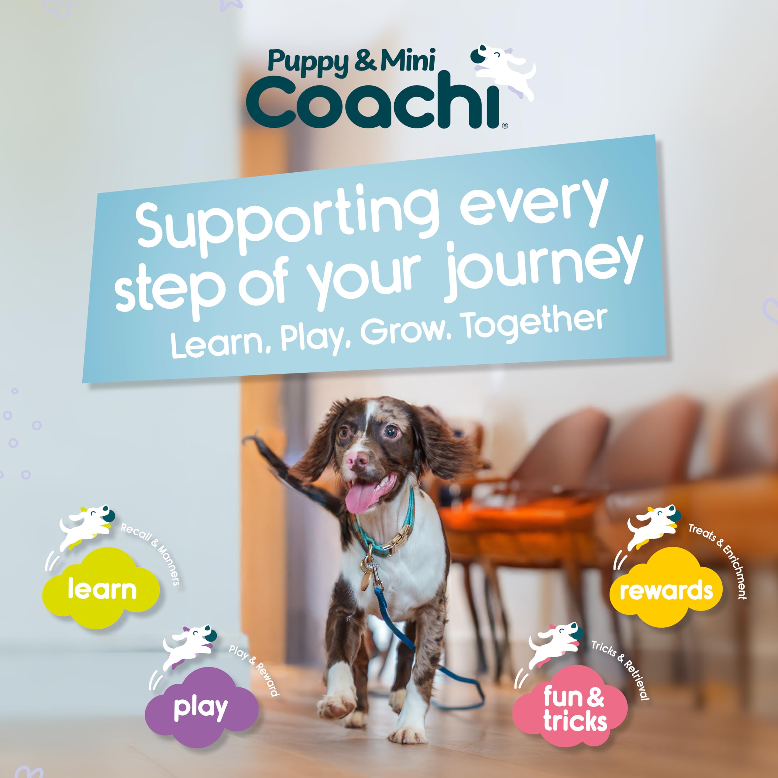 Coachi Puppy & Mini Chase & Treat Ball - Lightweight Fetch Toy for Small Dogs | Teal & Mint 6