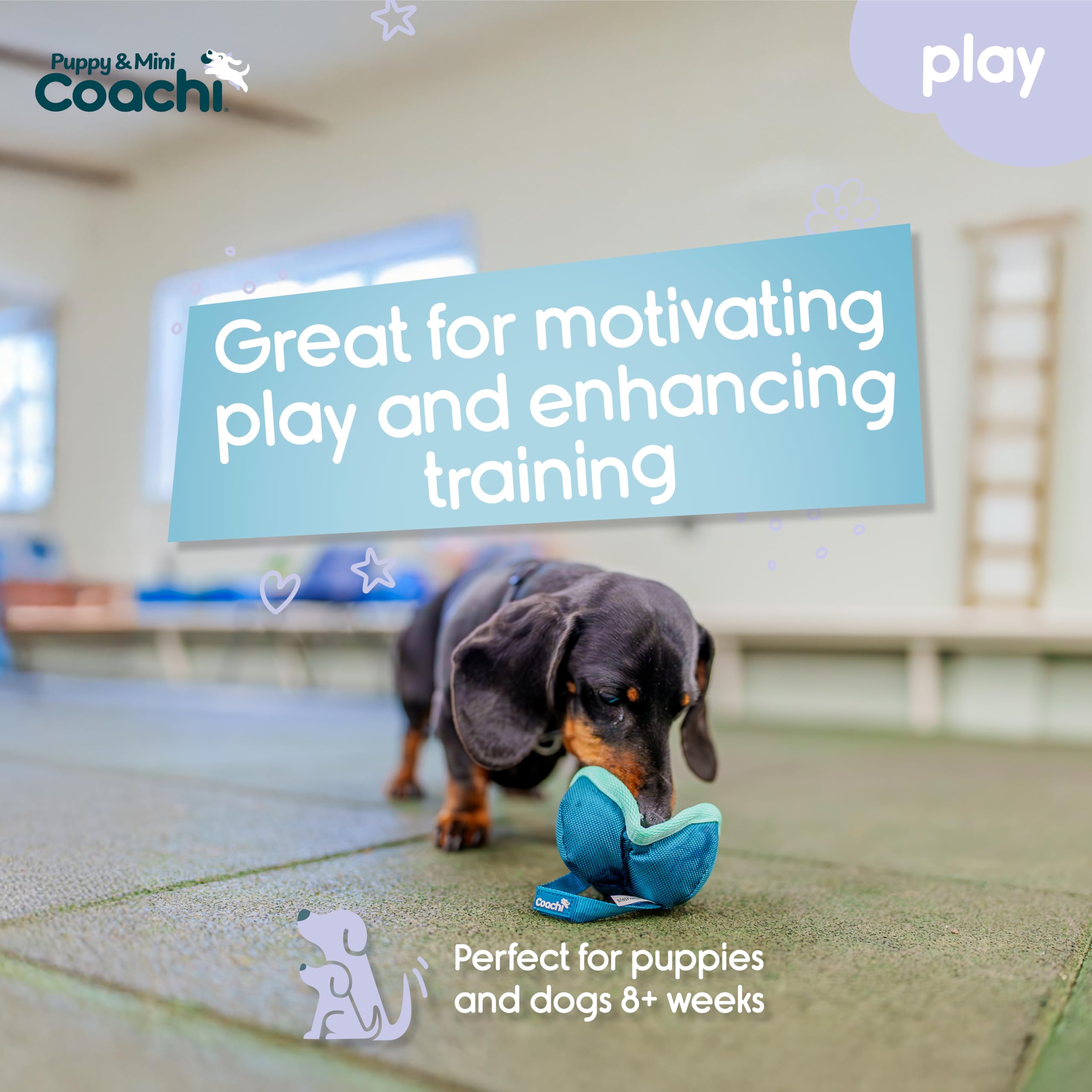 Coachi Puppy & Mini Chase & Treat Ball - Lightweight Fetch Toy for Small Dogs | Teal & Mint 2