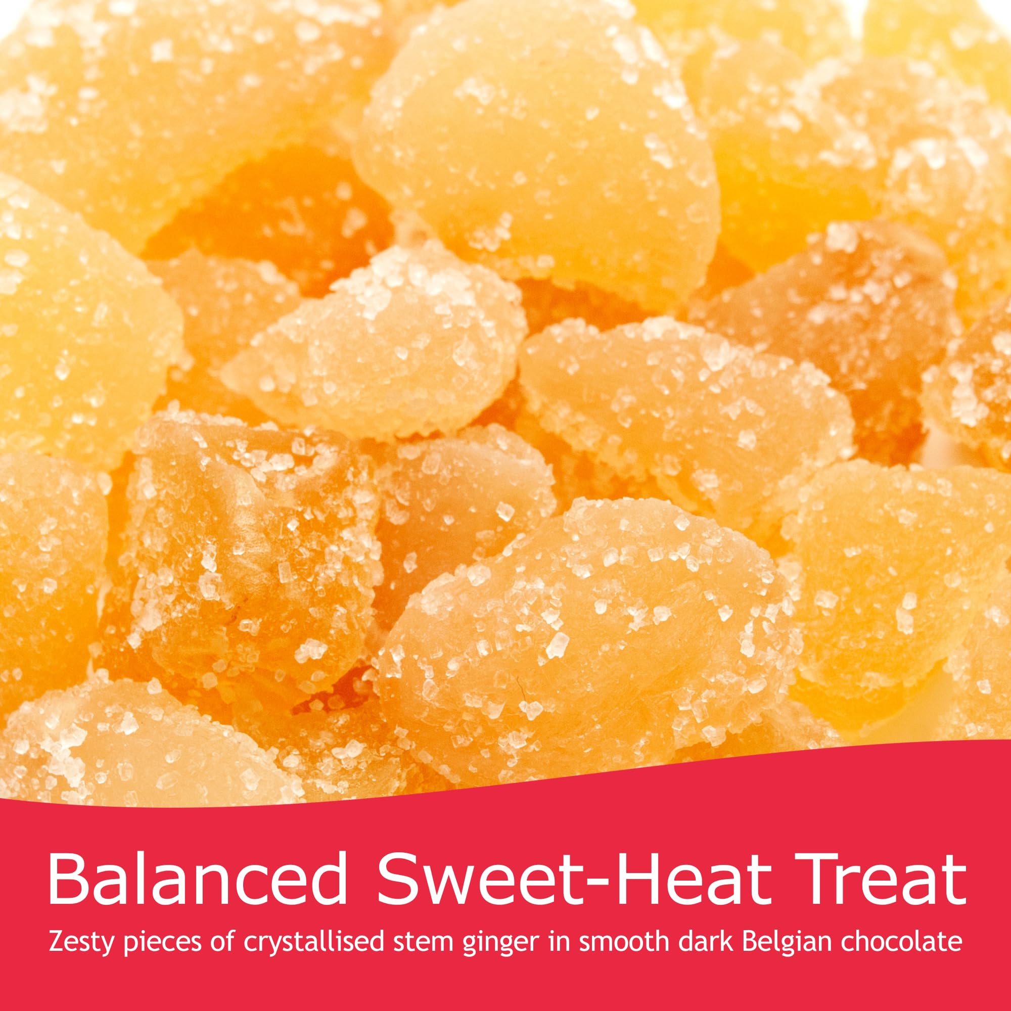 Rita Farhi - Dark Chocolate Covered Ginger Luxury Gift Jar 350g 5