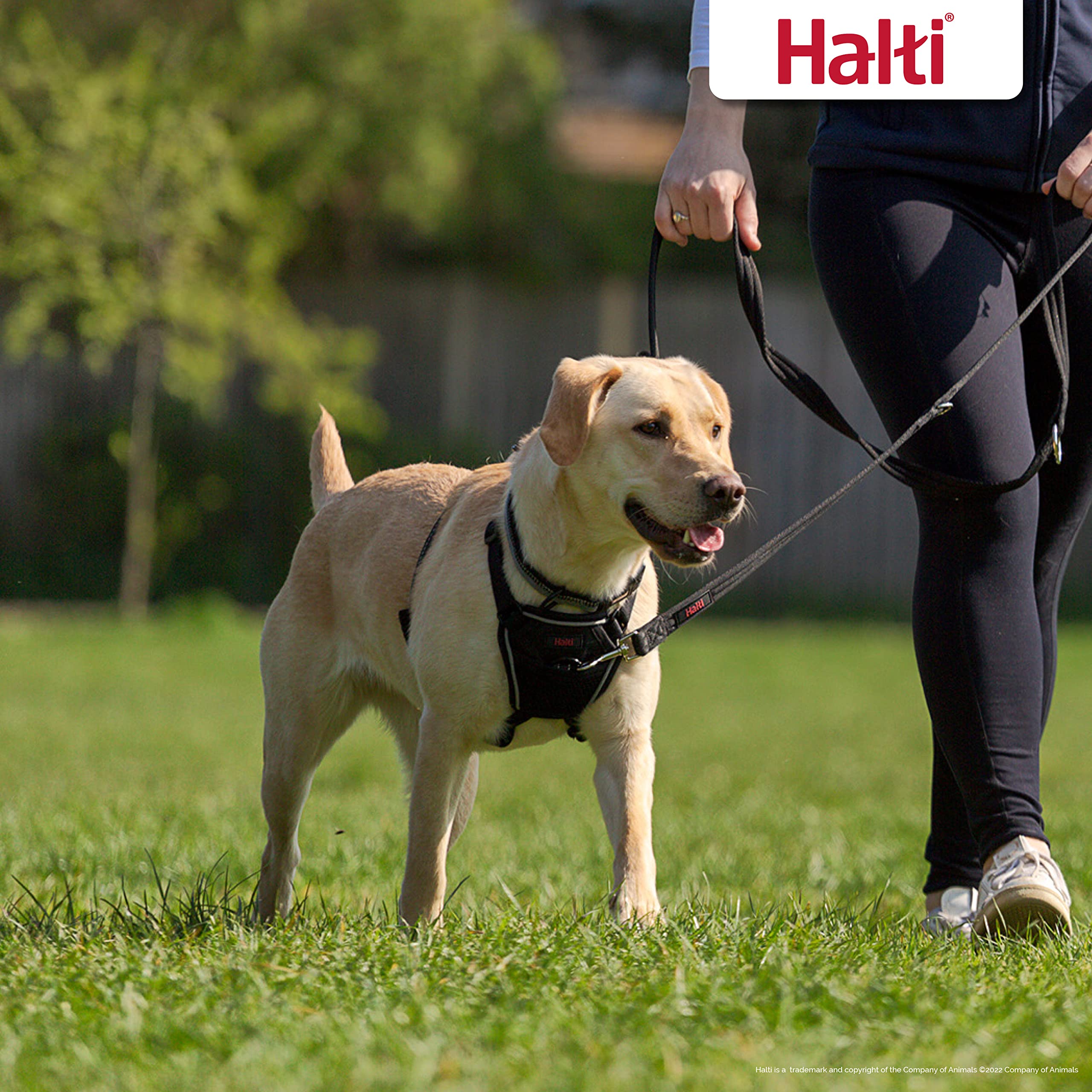 Halti No Pull Vest Harness - Stops Pulling, Adjustable, Reflective | Size Medium, Black