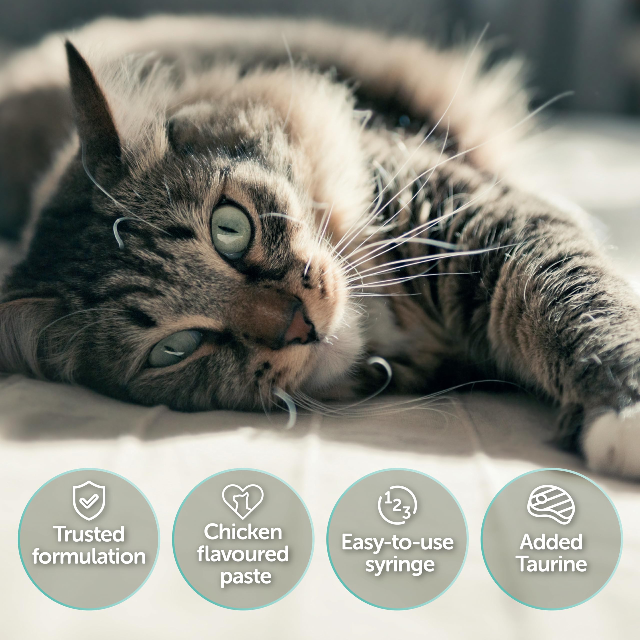 Protexin Pro-Kolin Advanced for Cats Digestive Remedy | 15ml 4