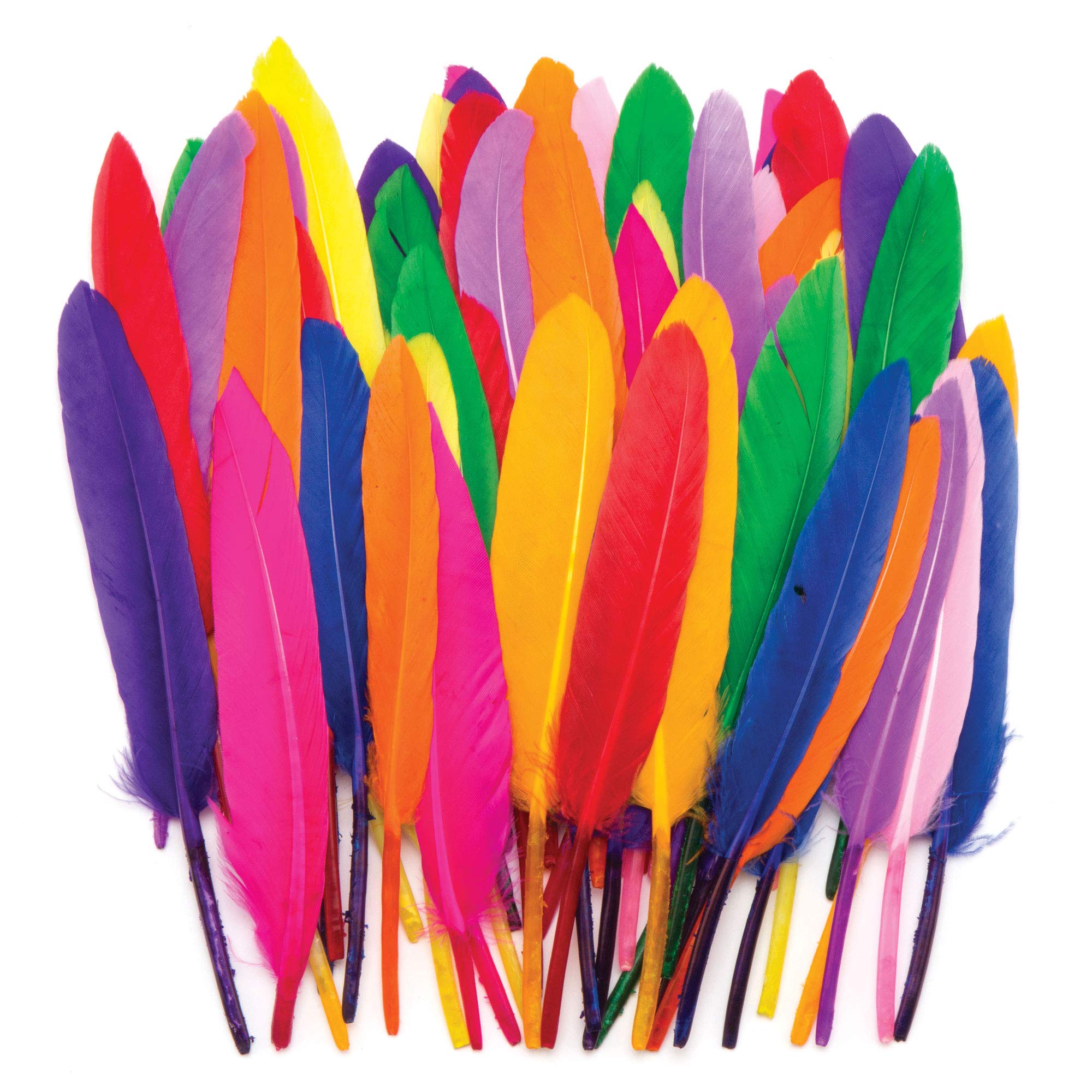 Baker Ross AR245 Mini Quill Feathers Value Pack - 80 Assorted Colours, 13cm | Craft & Decor 1