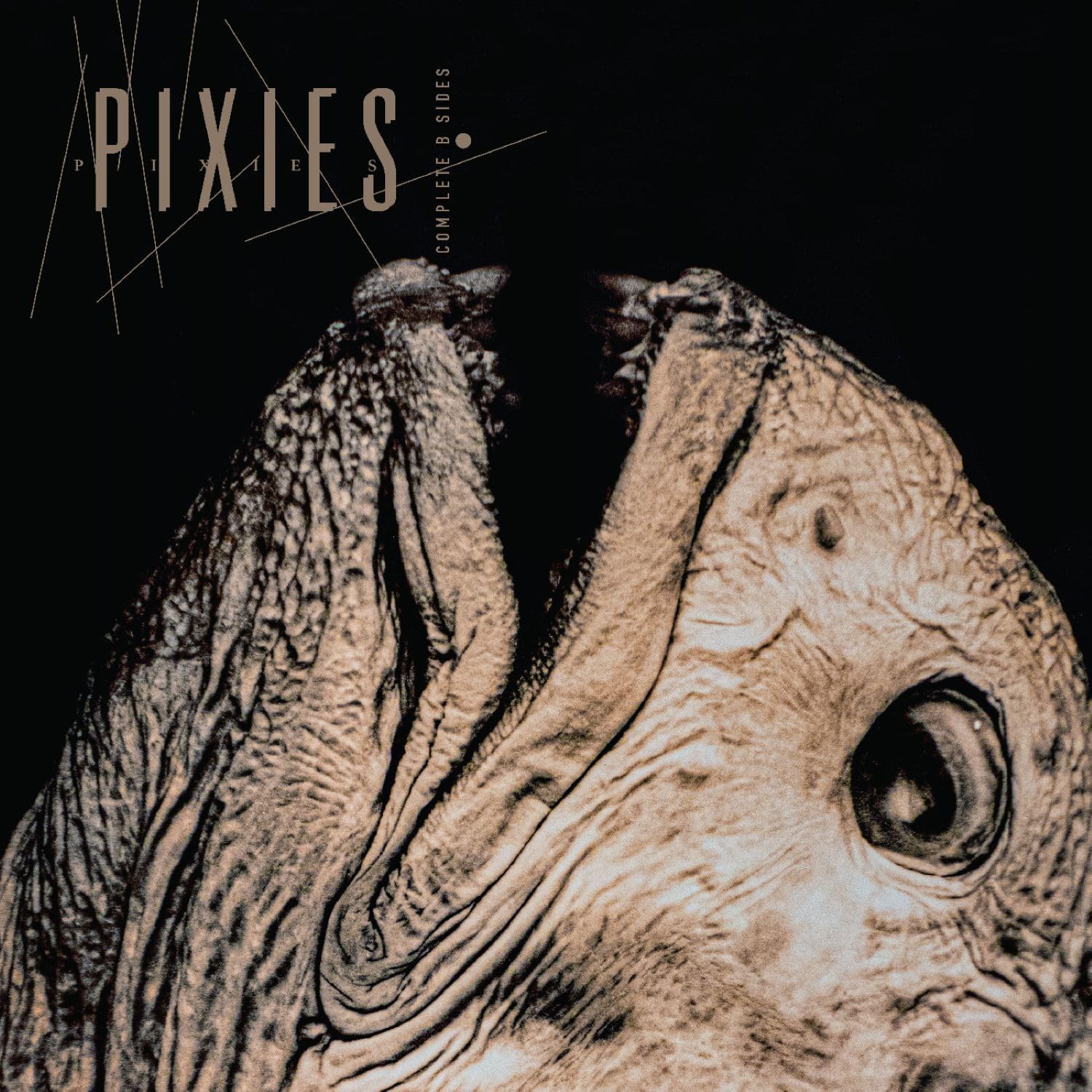 Pixies - Complete B Sides: 1988-97 [CD]