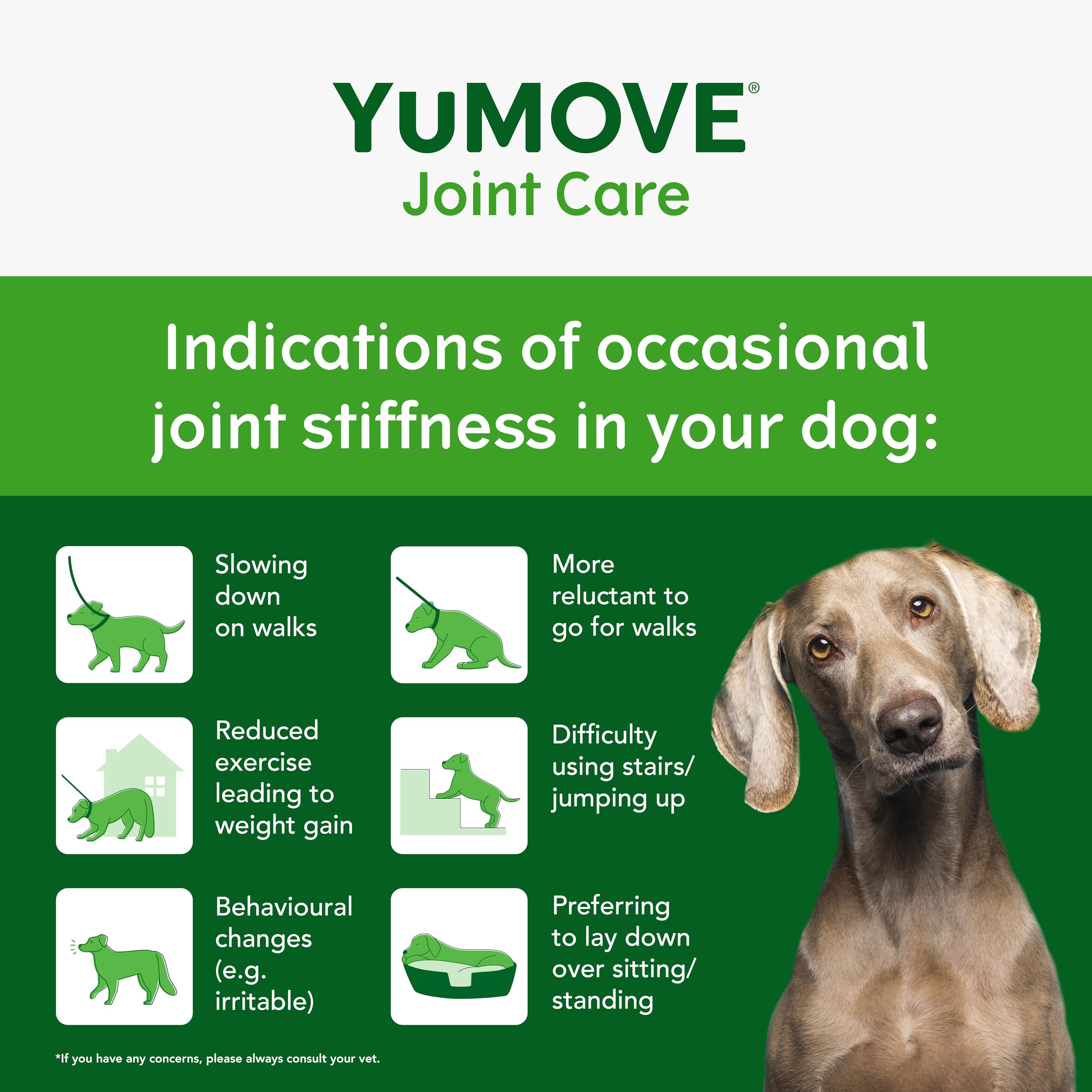 YuMOVE Senior Dog Joint Supplement - Daily Bites for Joint Care | 60 Chews 3