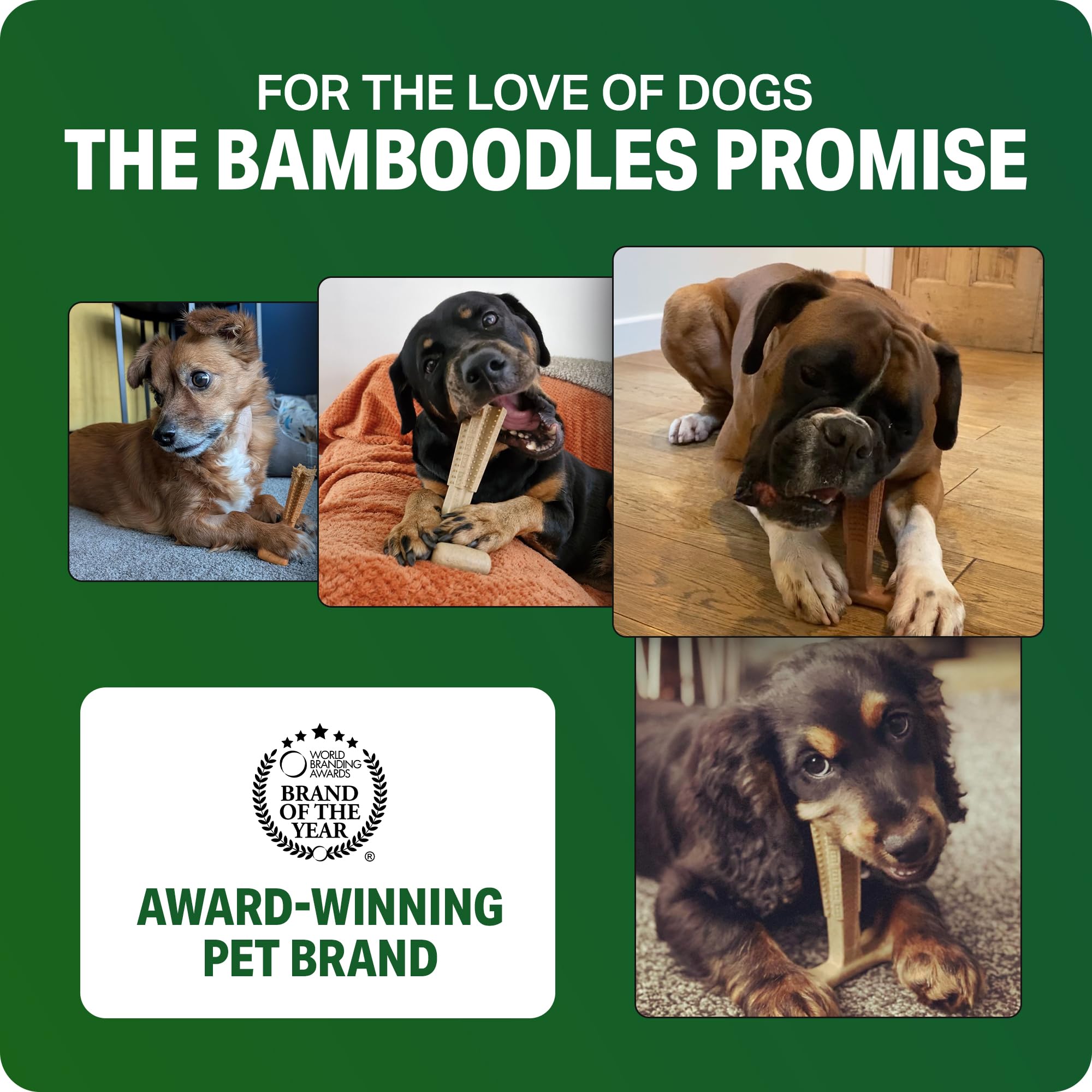 Bamboodles Dog Chew Toy - Small Size | Beef Flavour | Durable Nylon & Bamboo Fibre 7