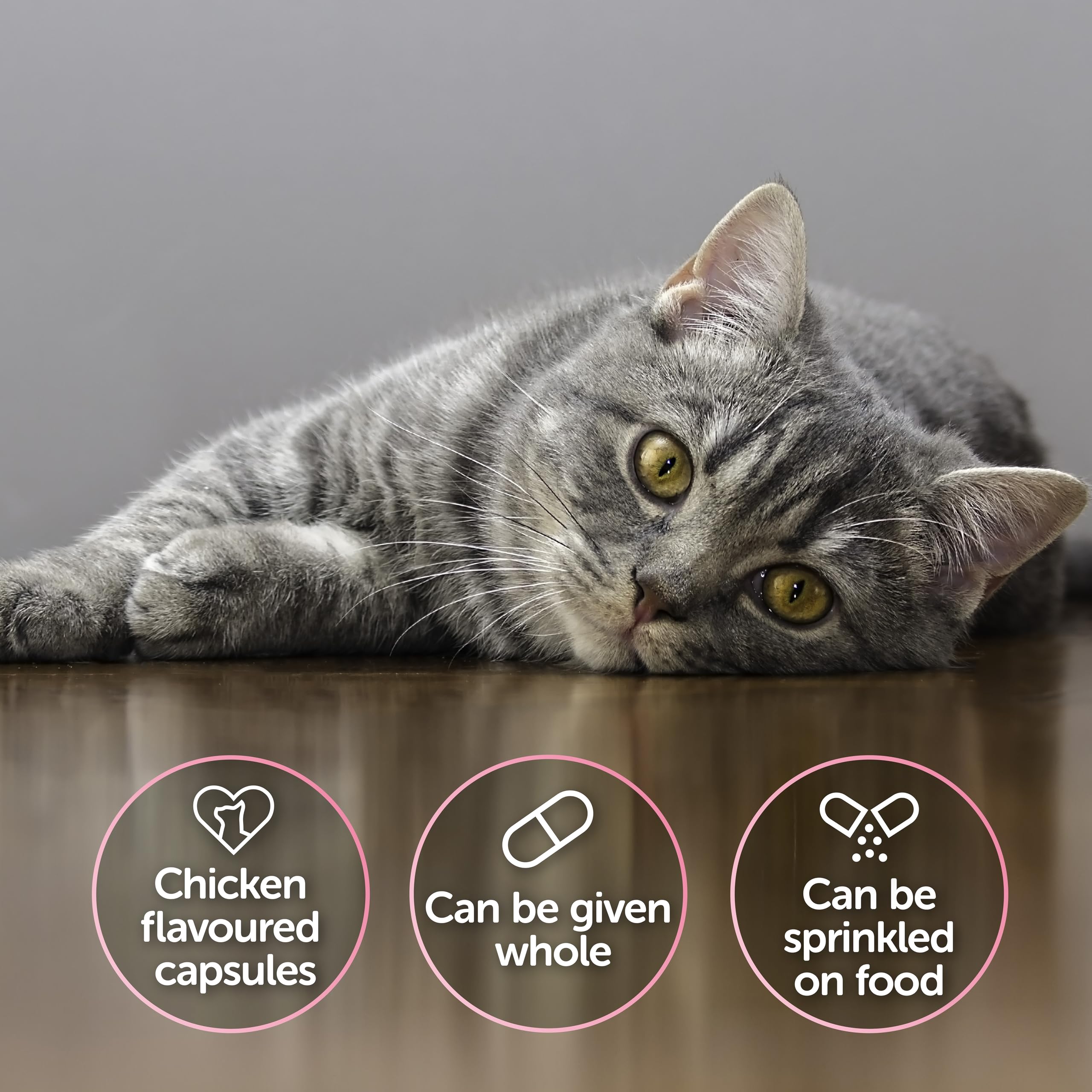 Protexin Veterinary Cystophan Cat Urinary & Stress Support Capsules - 240 Count 6