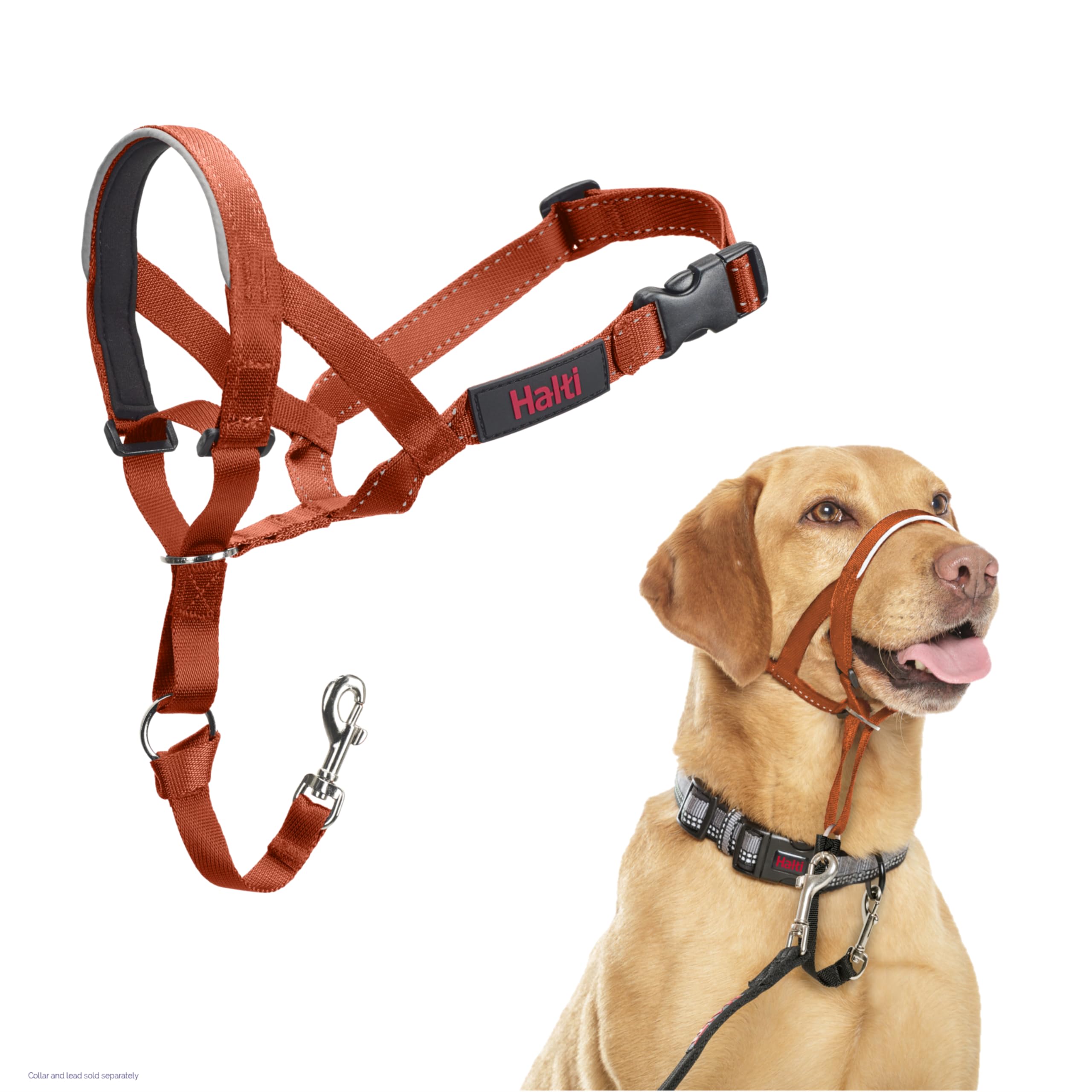 Halti Headcollar - Stops Pulling for Dogs | Size 3, Burnt Orange, Reflective 1
