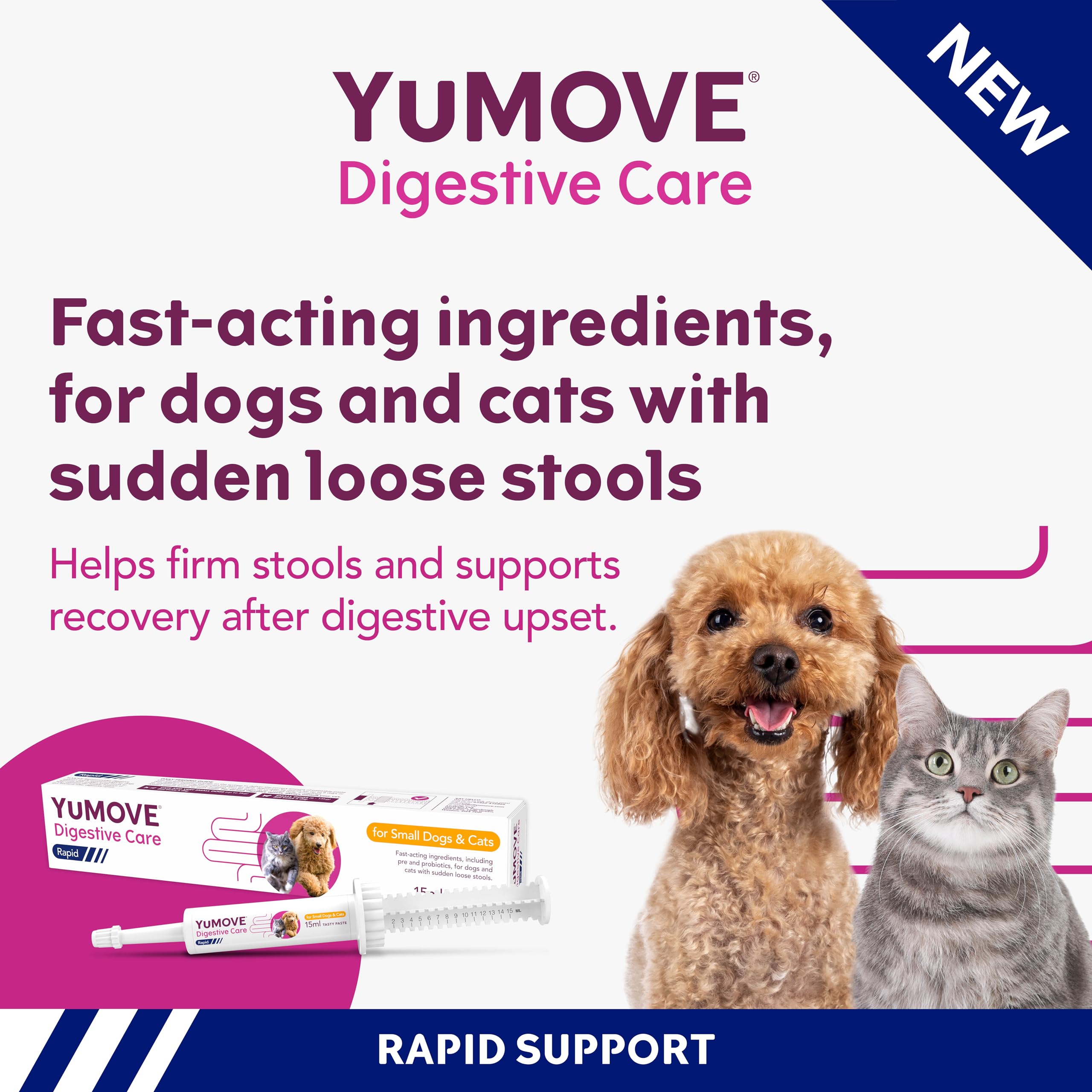 YuMOVE Digestive Care Rapid Probiotic Paste for Dogs & Cats - Fast-Acting Gut Support | 15ml 2