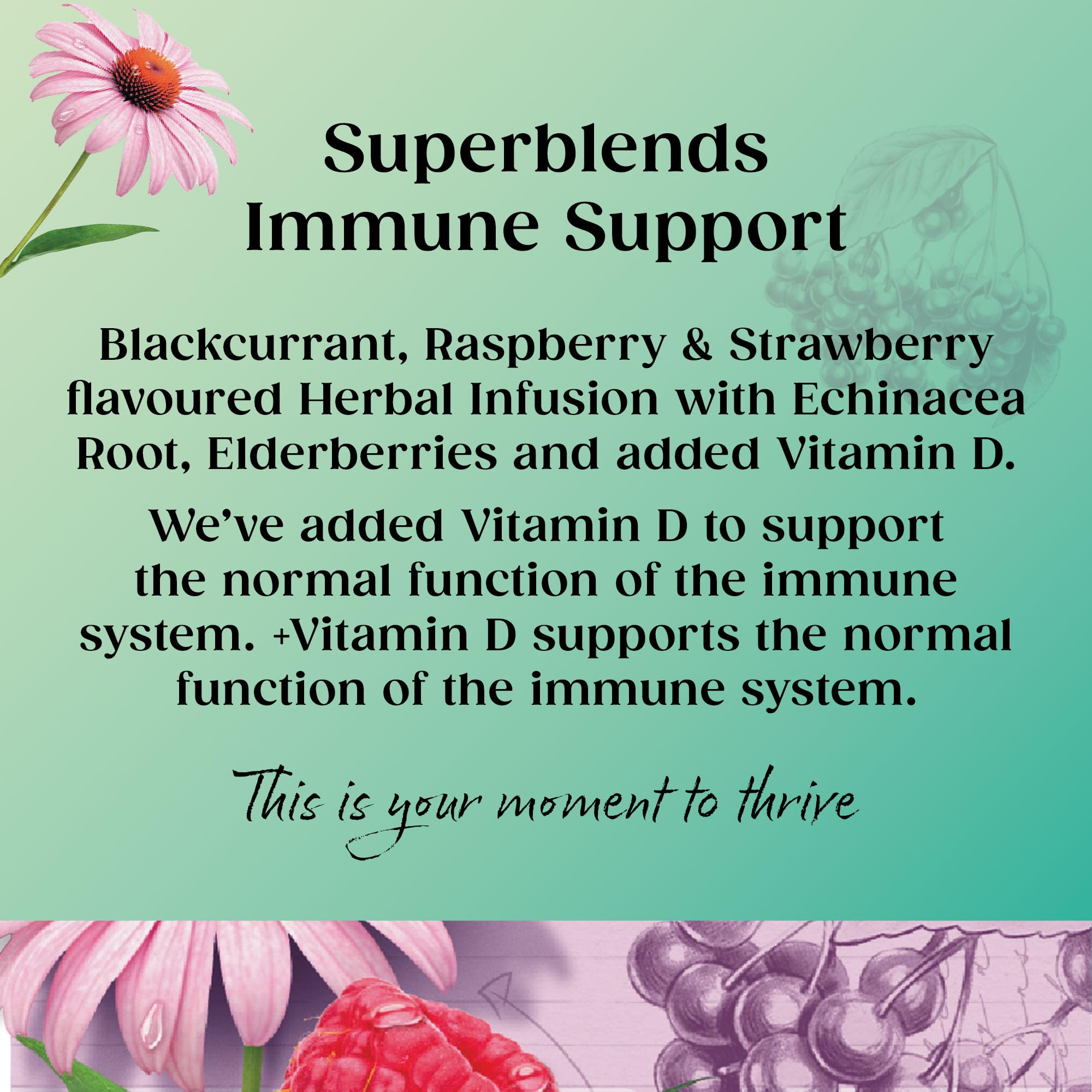 Twinings Superblends Immune Support Herbal Tea - Blackcurrant, Raspberry & Elderberry | 80 Count 2