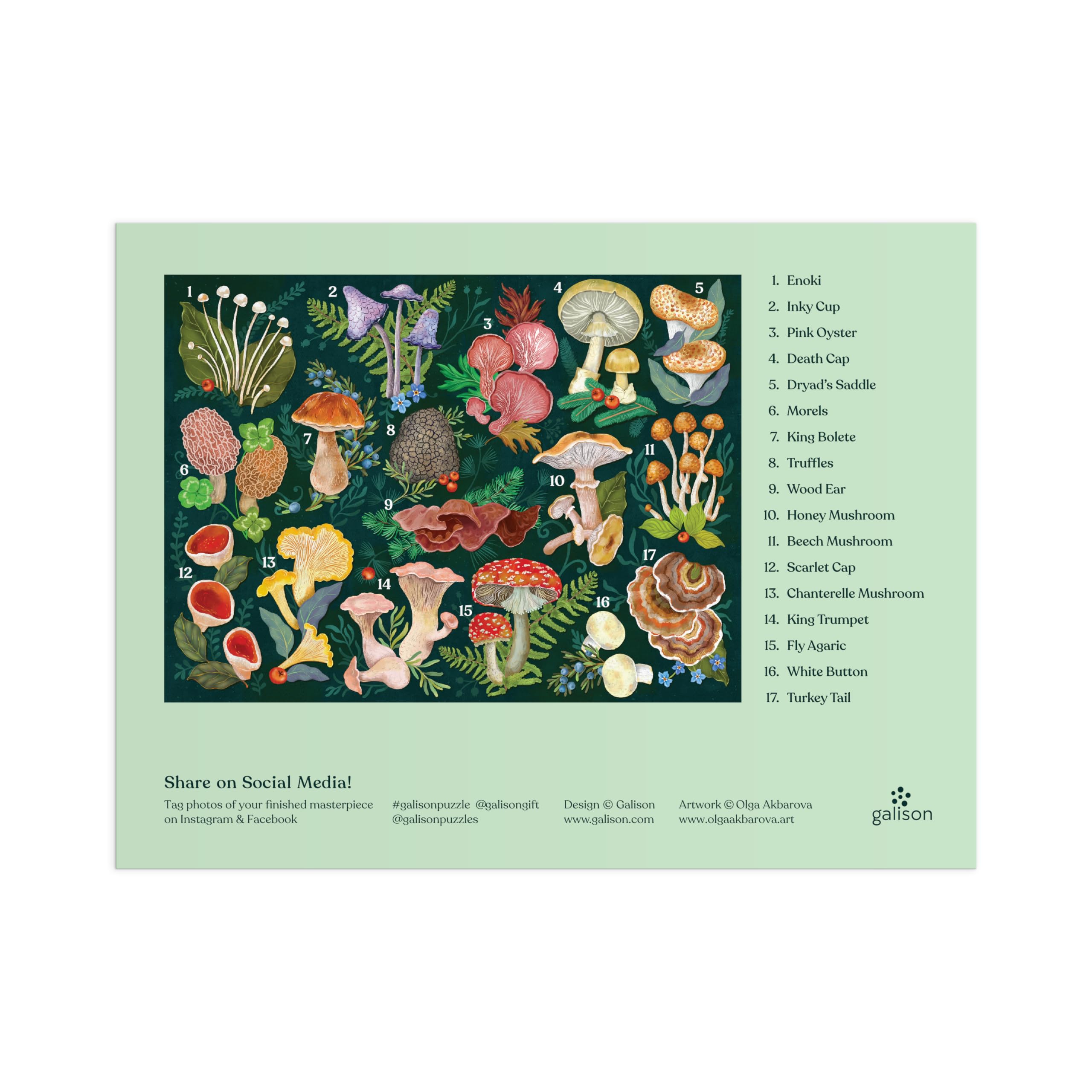 Galison World of Mushrooms 1000 Piece Jigsaw Puzzle | Features Glossary of Species 3