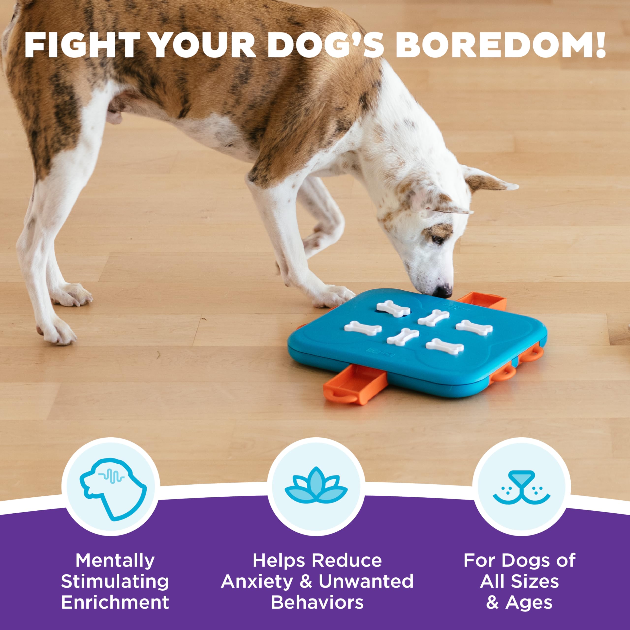Outward Hound Nina Ottosson Dog Casino Interactive Treat Puzzle Toy - Level 3 Advanced | Medium Size | Plastic