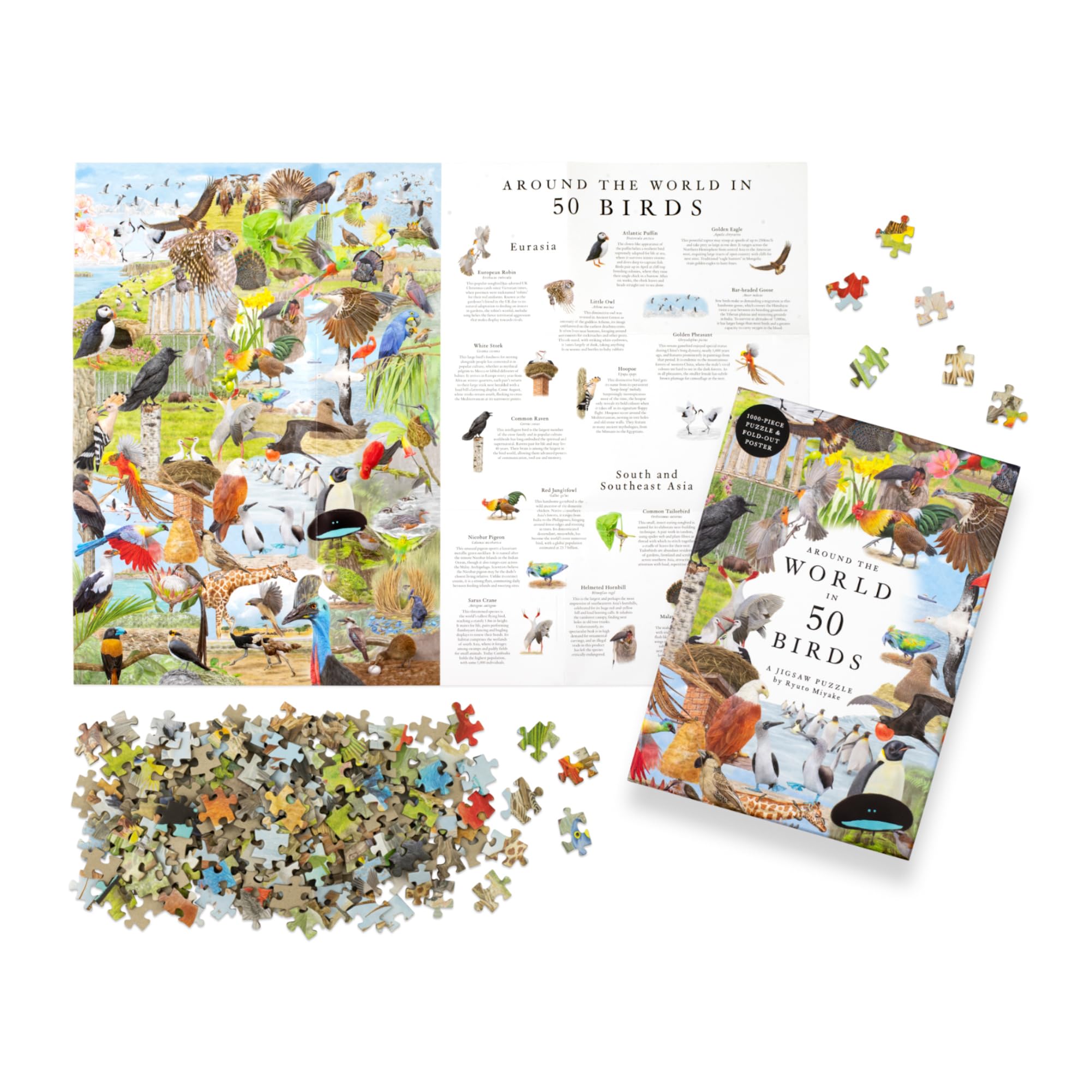 Around the World in 50 Birds: 1000-Piece Jigsaw Puzzle by Laurence King Publishing 12