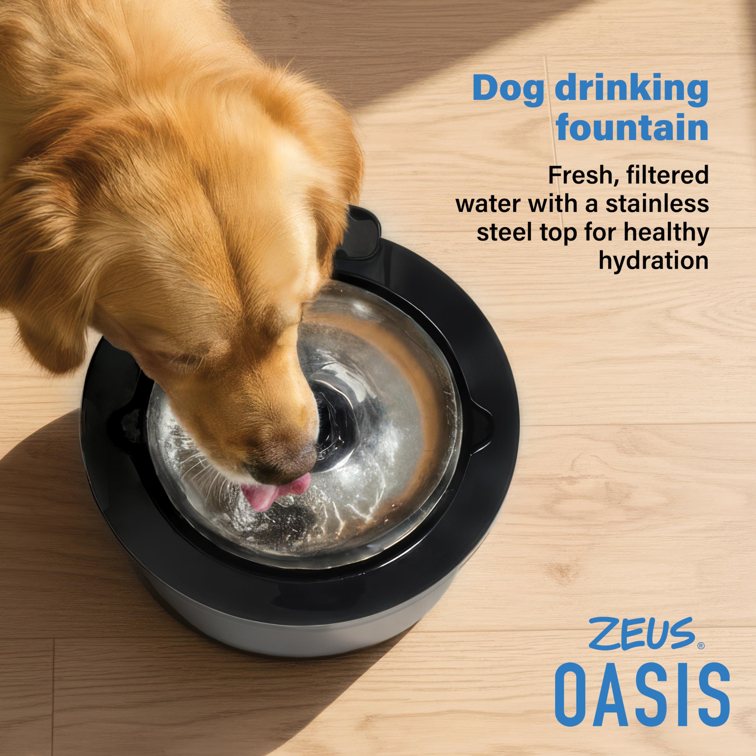 Zeus Oasis Dog Water Fountain - 6L Large Capacity | Stainless Steel Top | Triple Action Filter 2