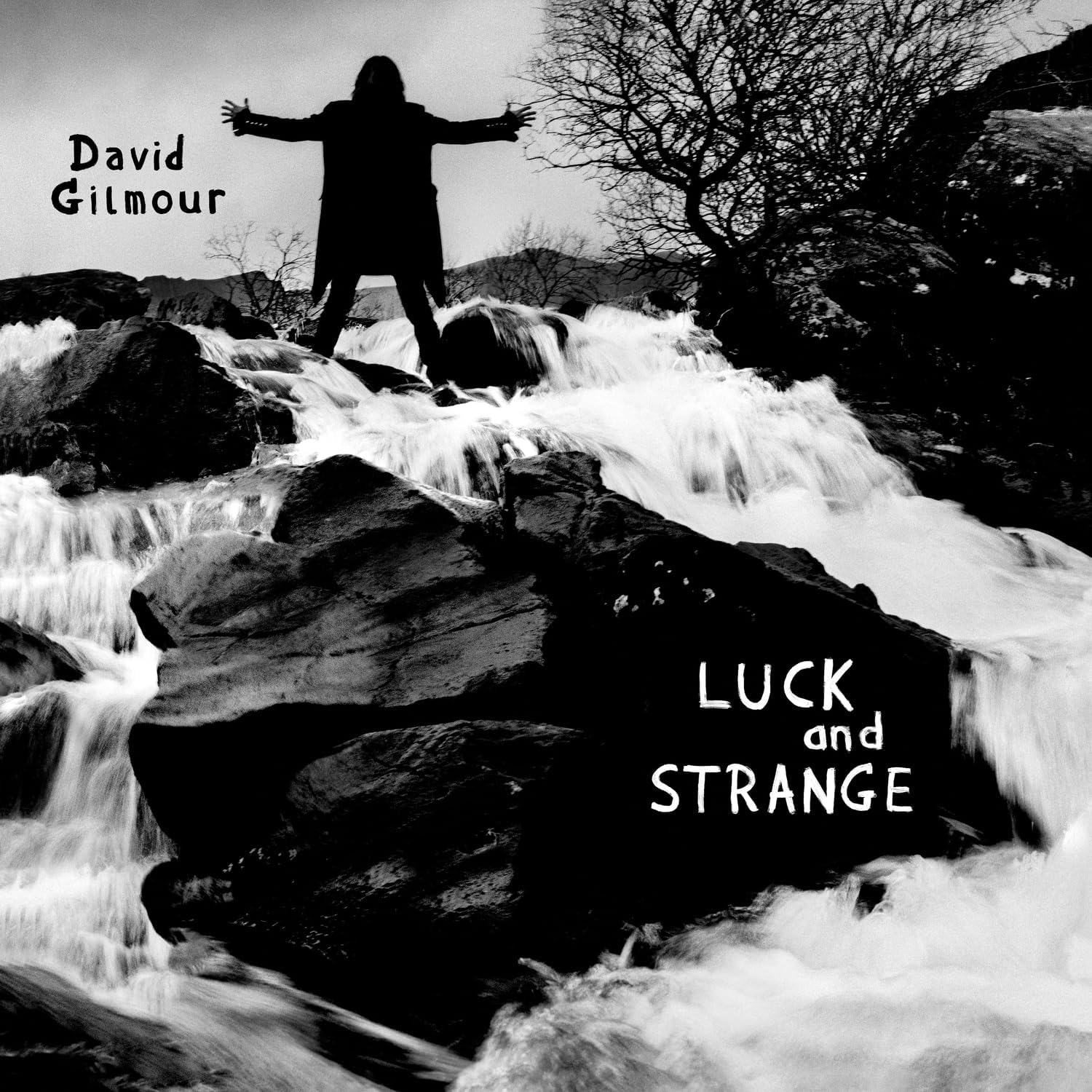 David Gilmour - Luck and Strange [Audio CD] 1