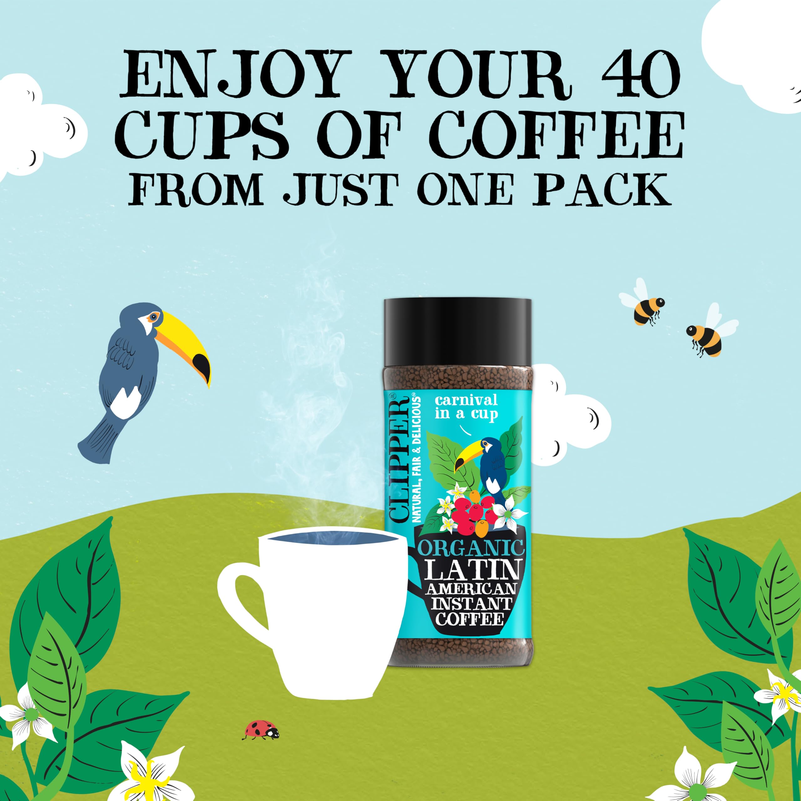 Clipper Natural, Fair & Delicious Latin American Organic Instant Coffee - 6 x 100g Jars | 600g Total 8