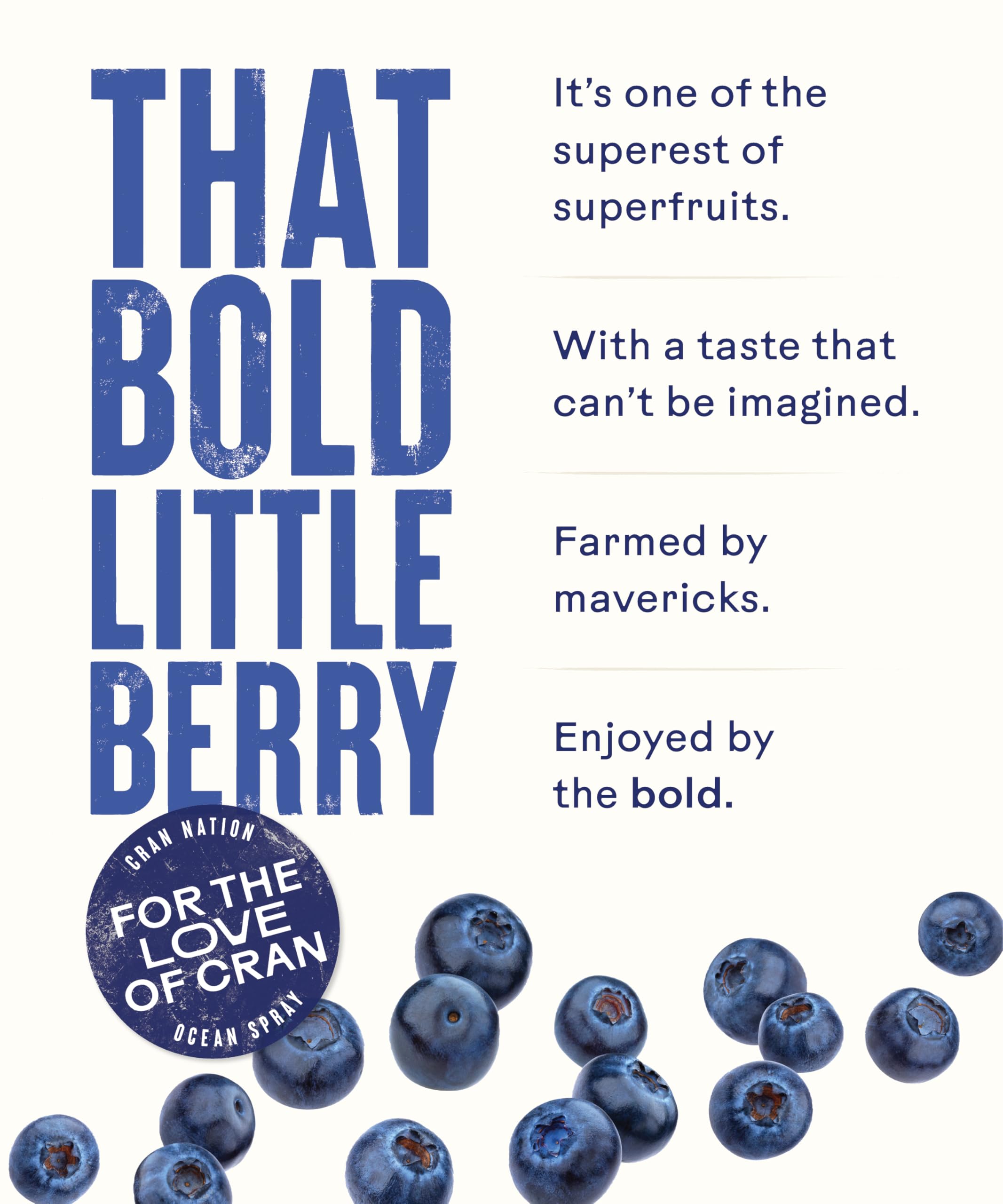 Ocean Spray Blueberry Fruit Juice Drink - 1L Carton | Rich in Vitamin C | No Artificial Additives 6