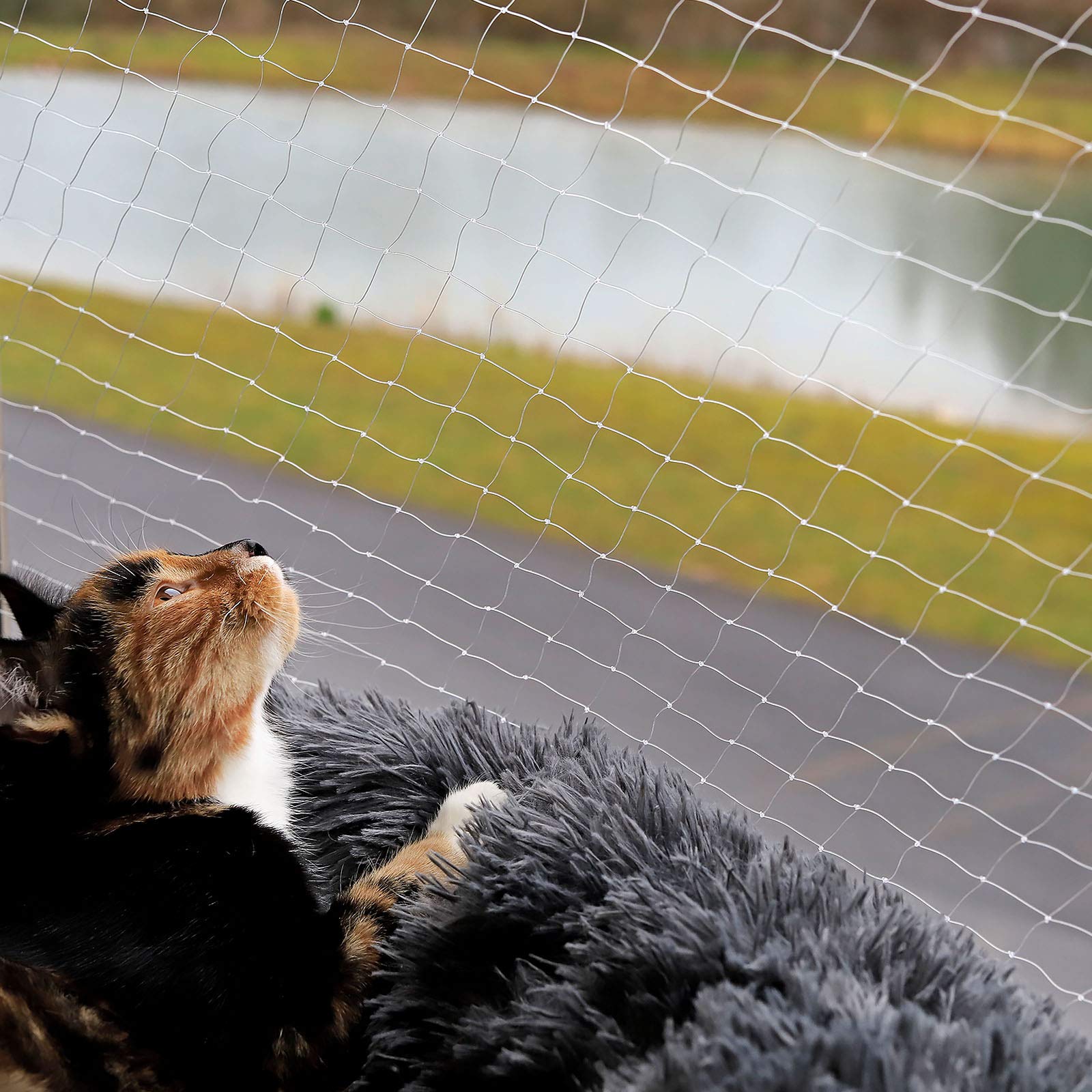 lionto Cat Safety Balcony Net - 3 x 4 m Transparent Nylon Protection | Weather Resistant