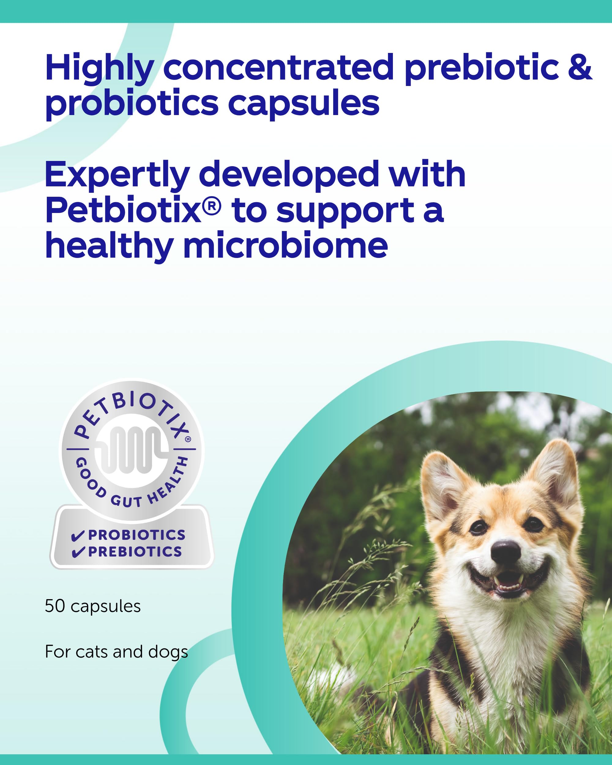 Protexin Synbiotic D-C Probiotic Capsules for Dogs & Cats - 50 Count | Prebiotic & Probiotic Support 3