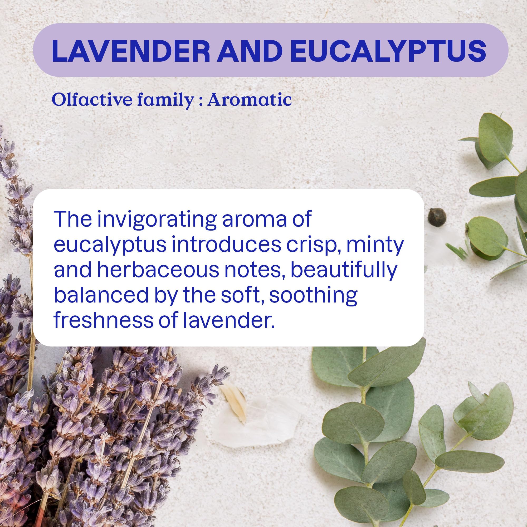 ATTITUDE Odor Eliminator with Activated Carbon | Lavender & Eucalyptus Scent | Vegan & Cruelty-Free 4