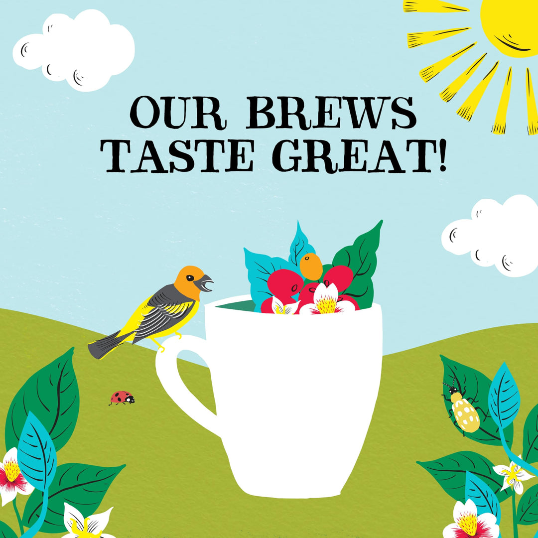 Clipper Organic Latin American Instant Decaf Coffee | 6 x 100g Jars | Fairtrade & Non-GM