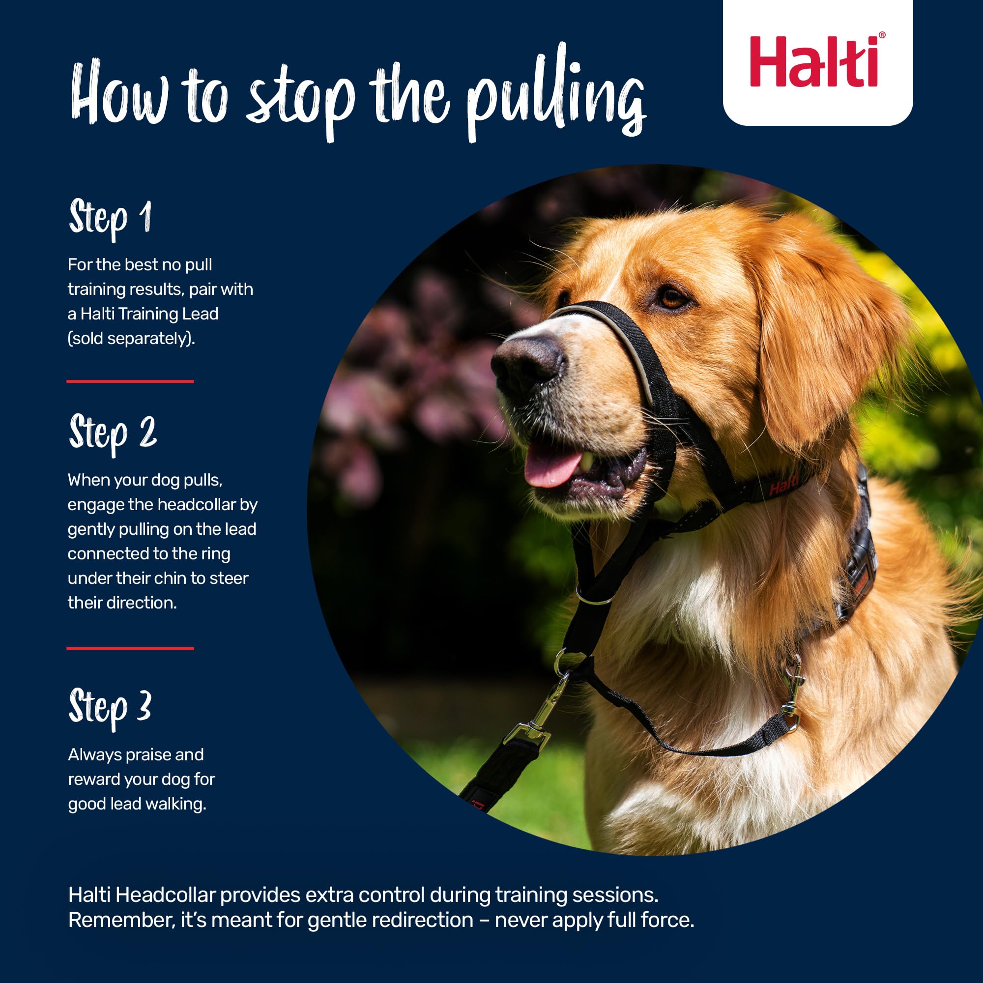 Halti Headcollar - Stops Pulling for Dogs | Size 3 Cobalt Blue | Reflective Nylon 4
