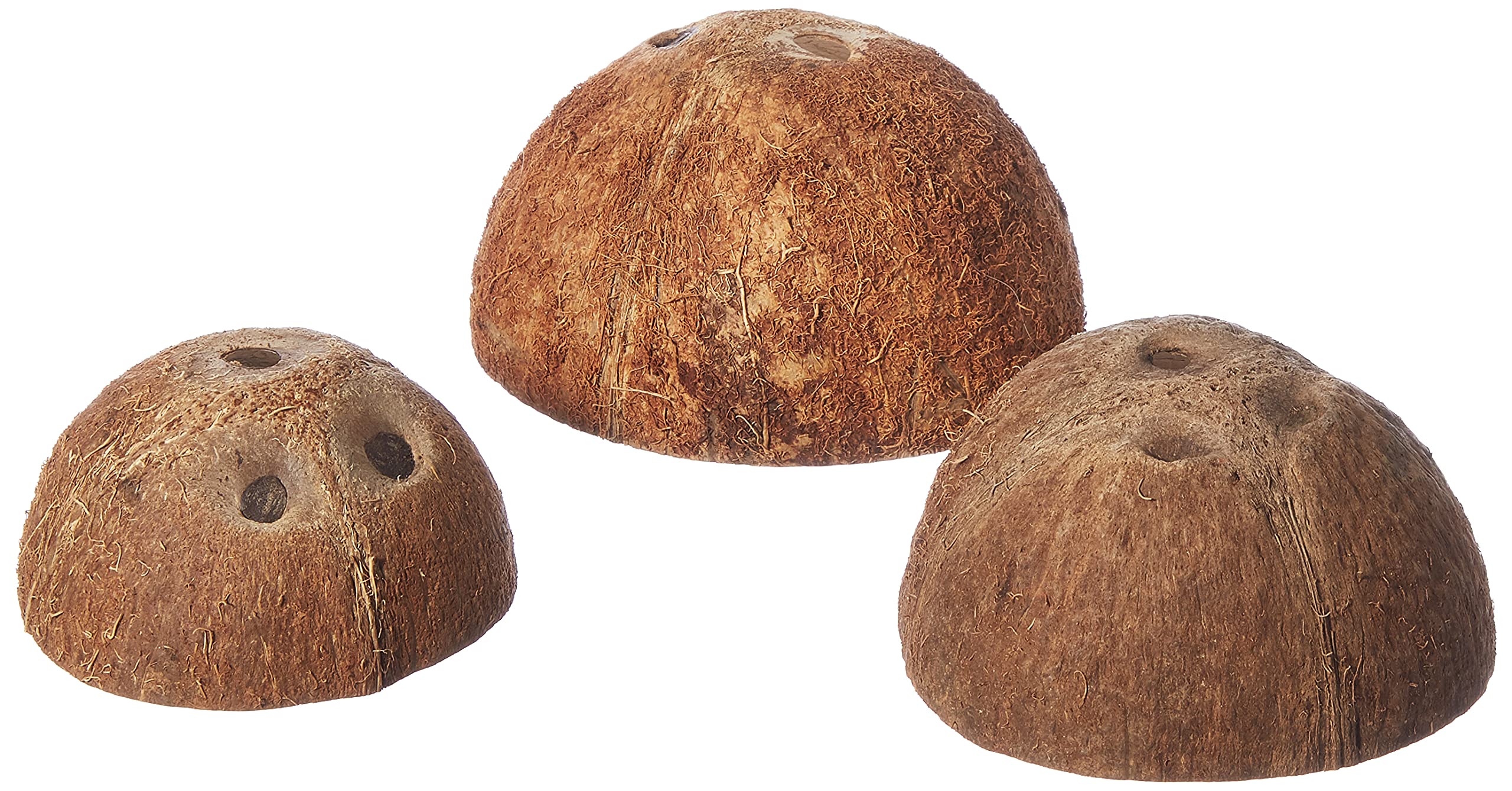 TRIXIE Three Coconut Hideaway Home - Natural Reptile & Rodent Shelter | 10 x 12 x 8 cm