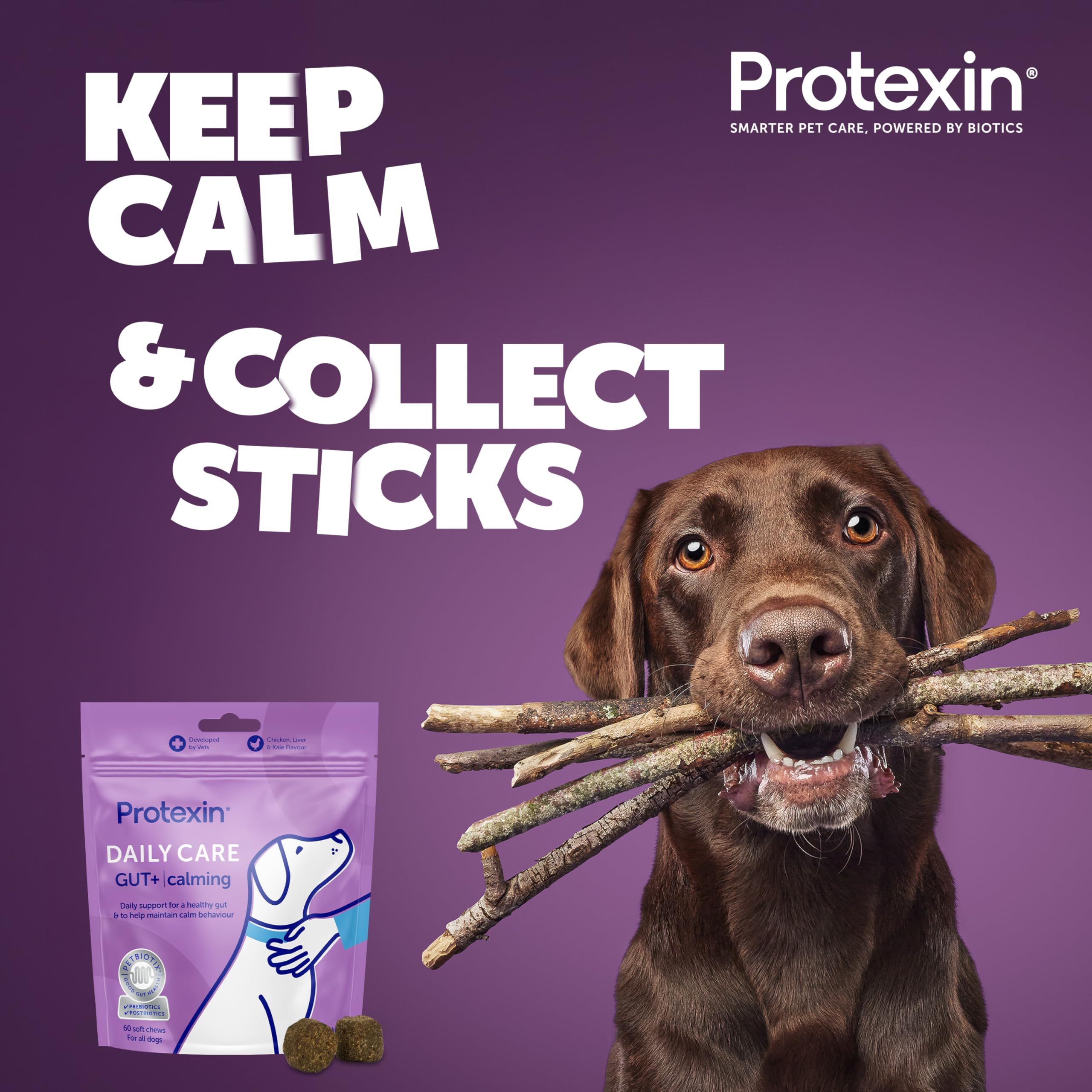Protexin Daily Care Gut+ Calming Probiotic Chews for Dogs - 200g 4