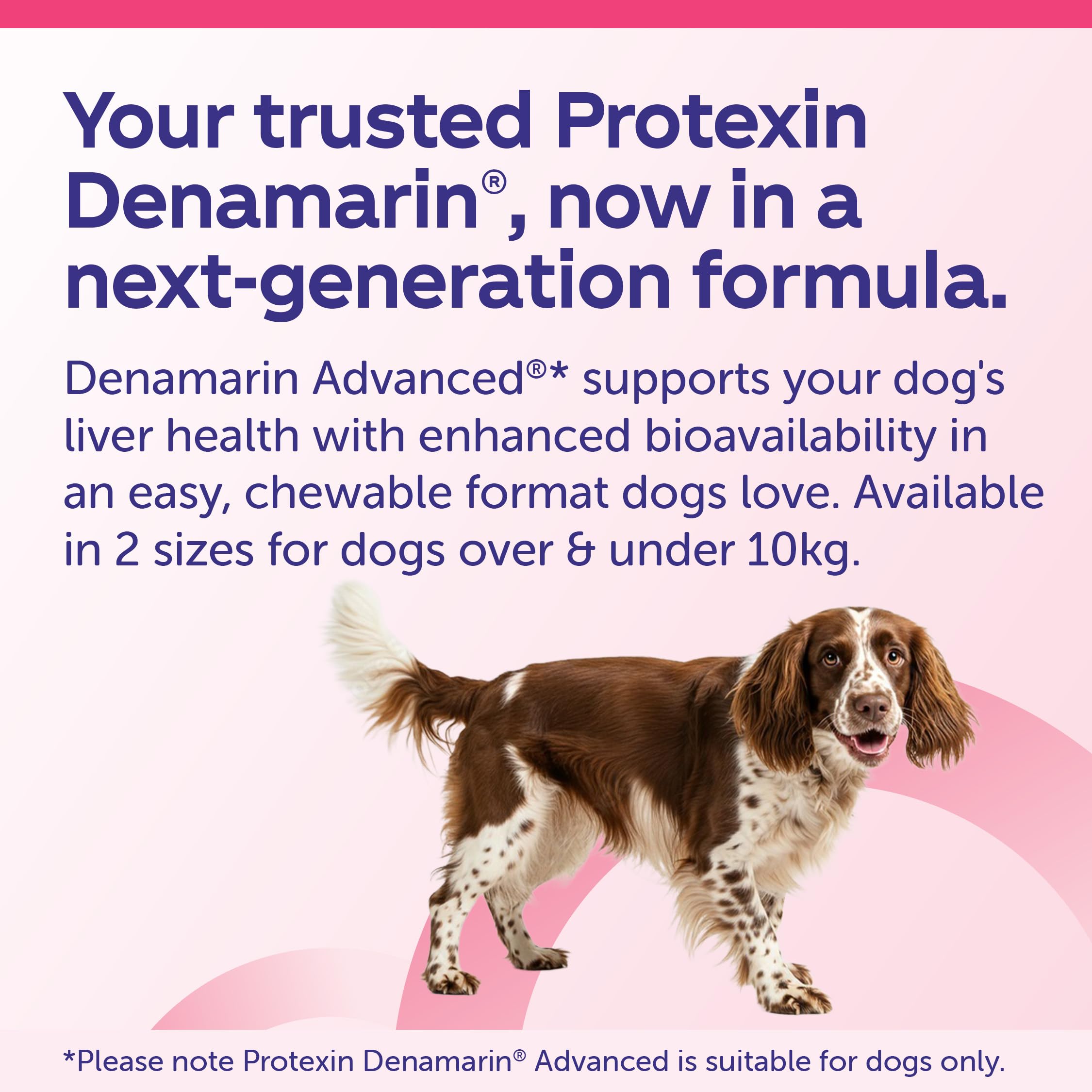 Protexin Denamarin Advanced for Dogs over 10kg - Supports Normal Liver Function with SAMe & Silybin | 30 Tablets 5
