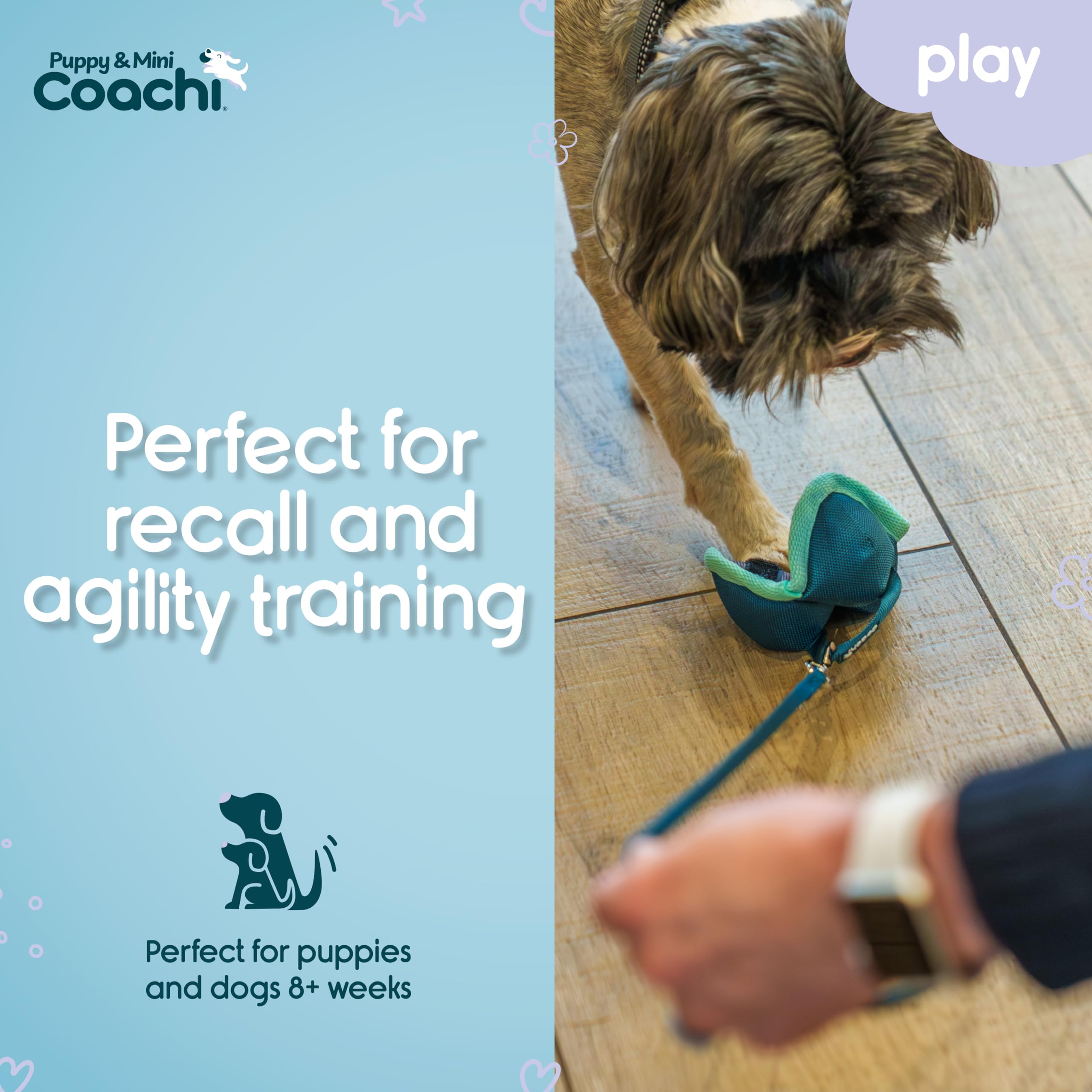 Coachi Puppy & Mini Chase & Treat Ball - Lightweight Fetch Toy for Small Dogs | Teal & Mint 3