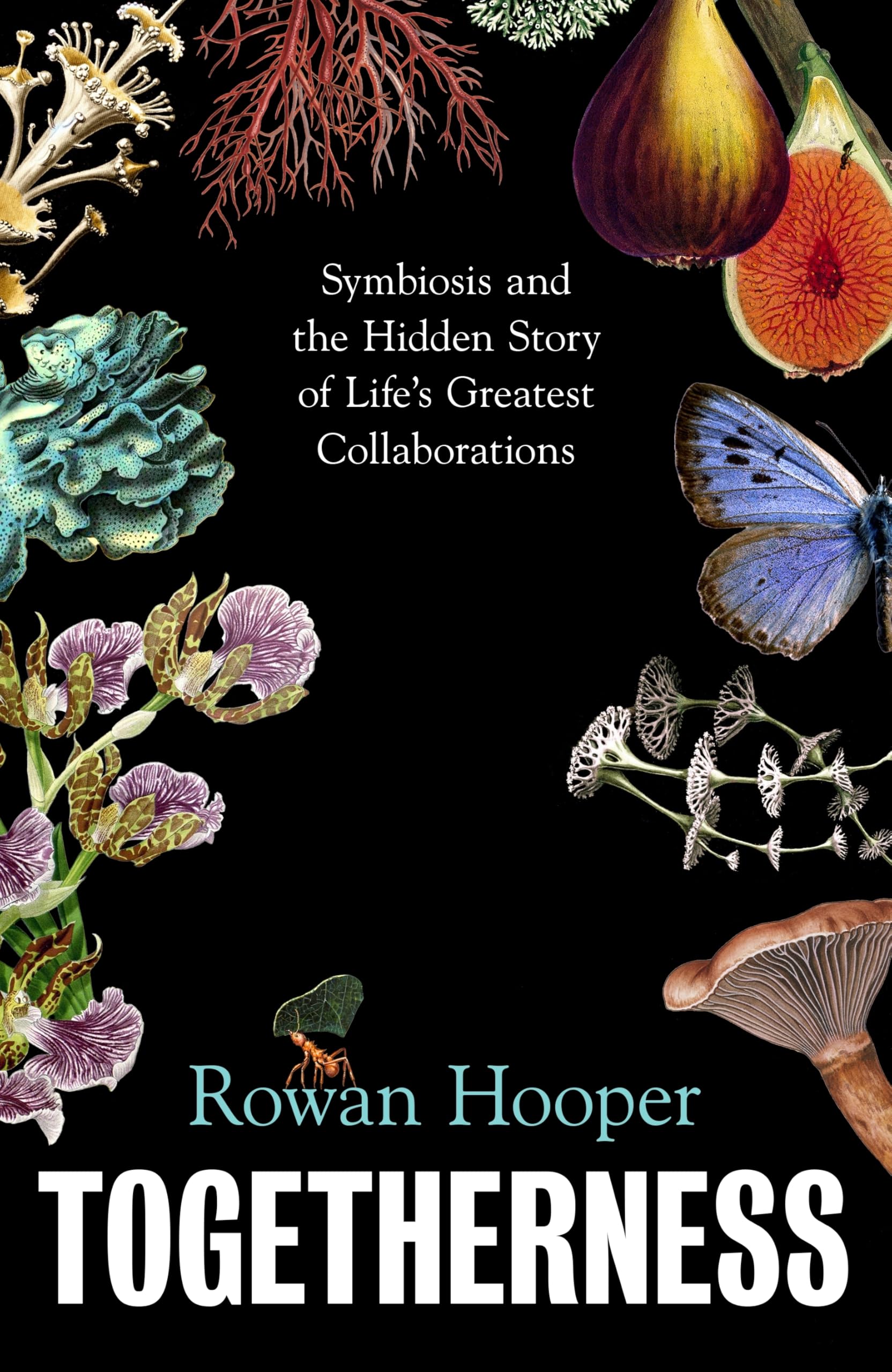 Rowan Hooper - Togetherness: Symbiosis and the Hidden Story of Life’s Greatest Collaborati | Hardcover