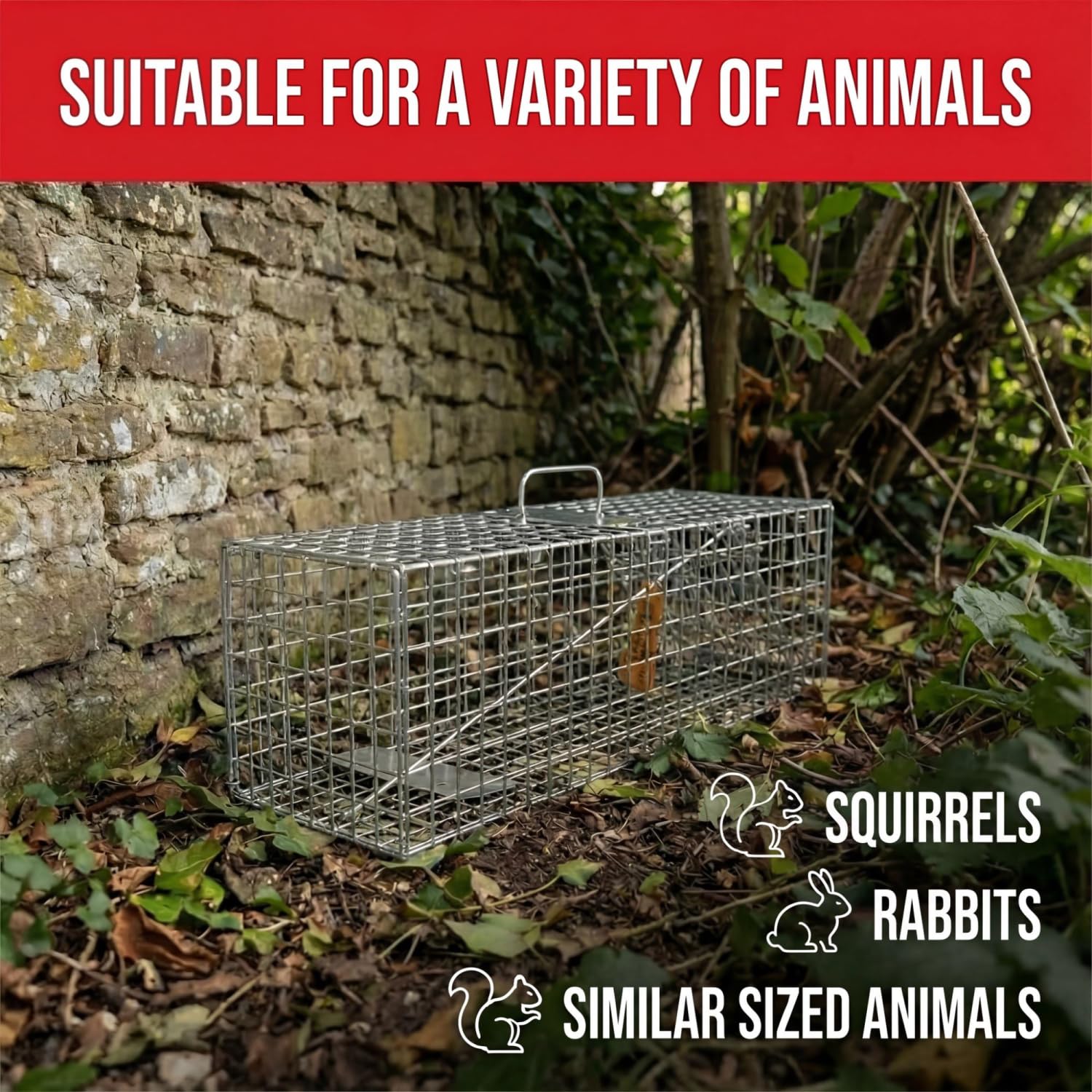 Defenders Live Animal Trap - Humane Capture | Small Cage | Galvanised Mesh 2