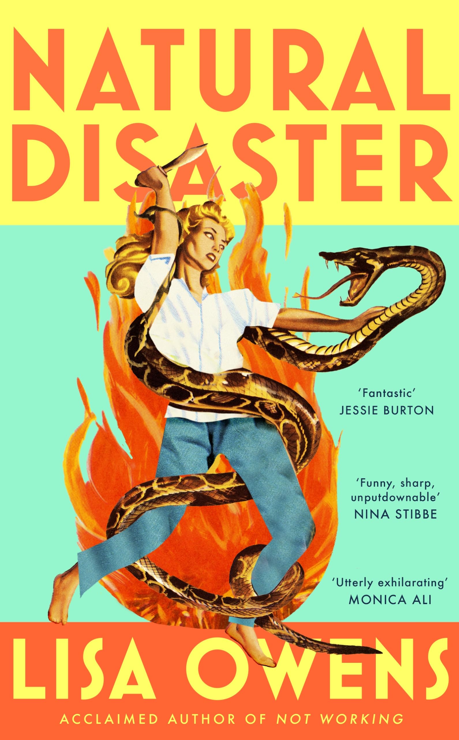 Virago Natural Disaster by Lisa Owens - Contemporary Fiction | Hardcover