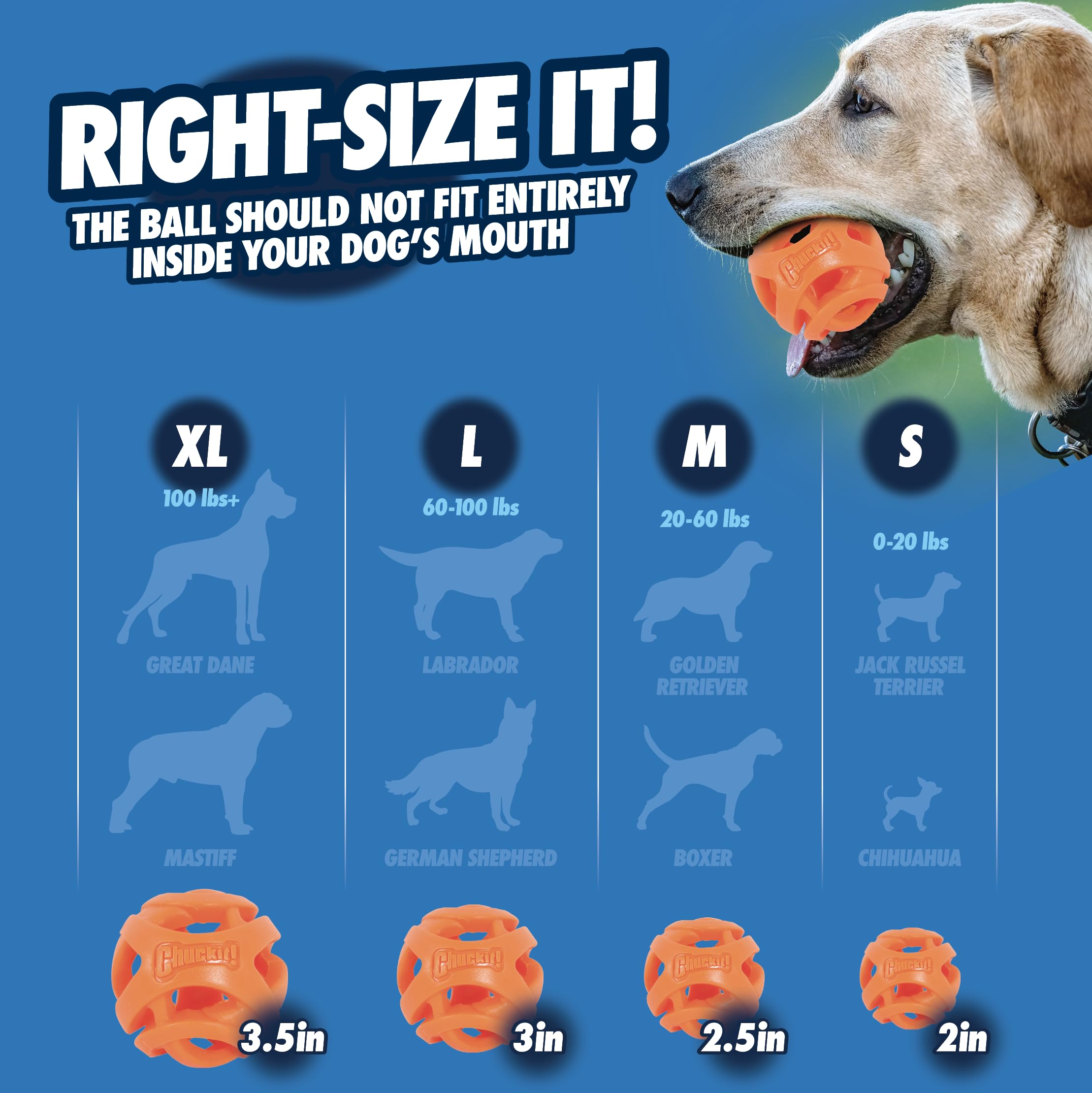 Chuckit! Breathe Right Fetch Ball - Small Size (2 Pack) | Hollow Mesh Design | Waterproof