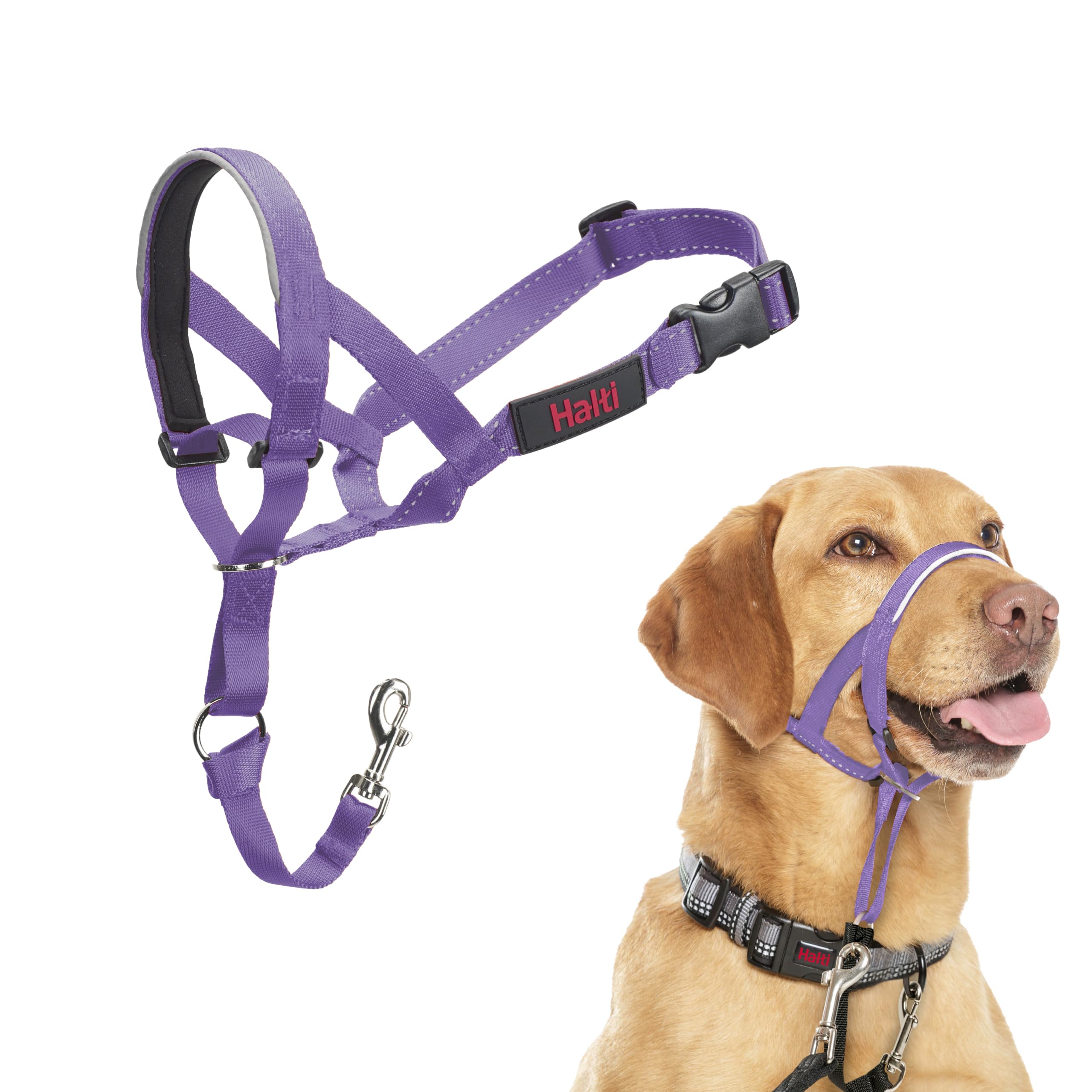 Halti Headcollar for Dogs - Stops Pulling | Size 3, Purple