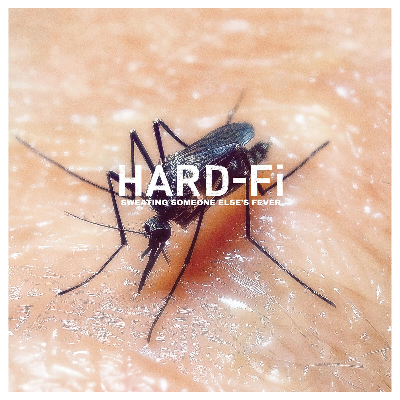 Hard-Fi - Sweating Someone Else's Fever [Vinyl] 1