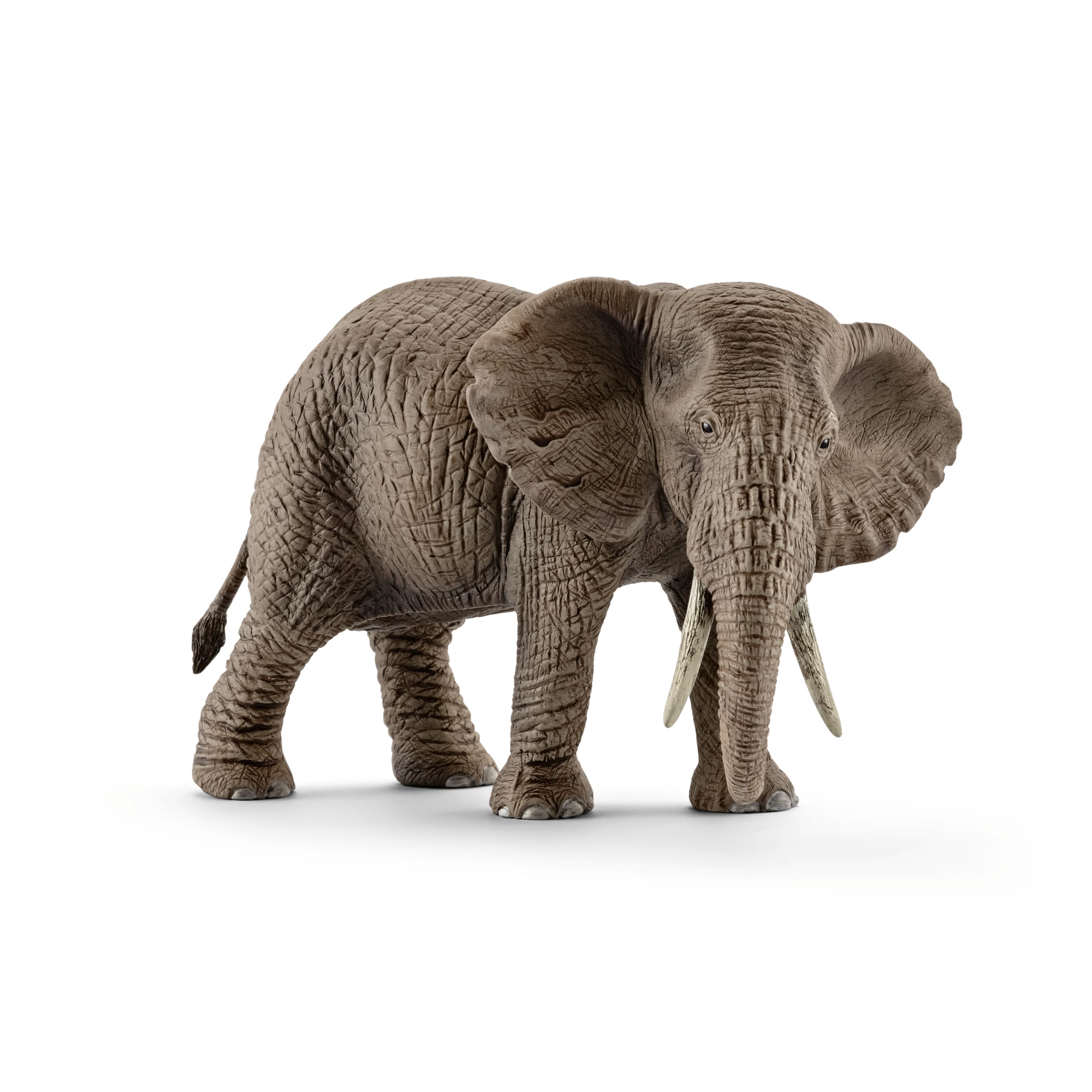 Schleich African Elephant Female Figurine - Realistic Wild Life Toy | Ages 3+ | 5.7 inch 7