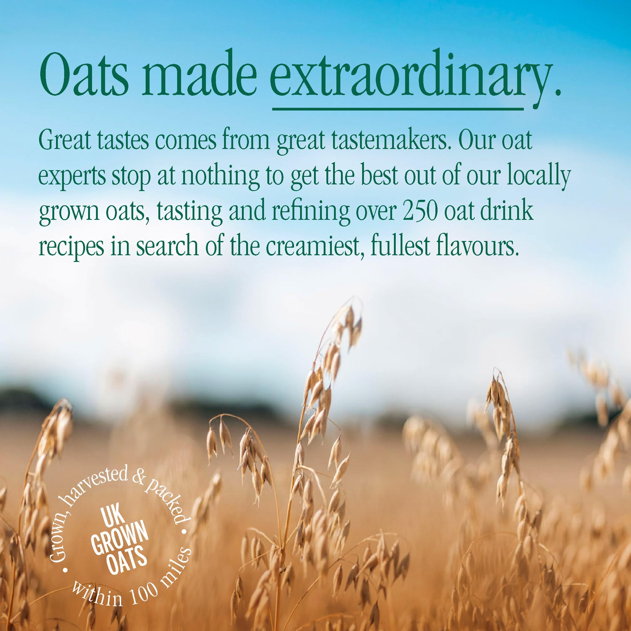 MOMA Banana & Peanut Butter Porridge Pot 65g 6