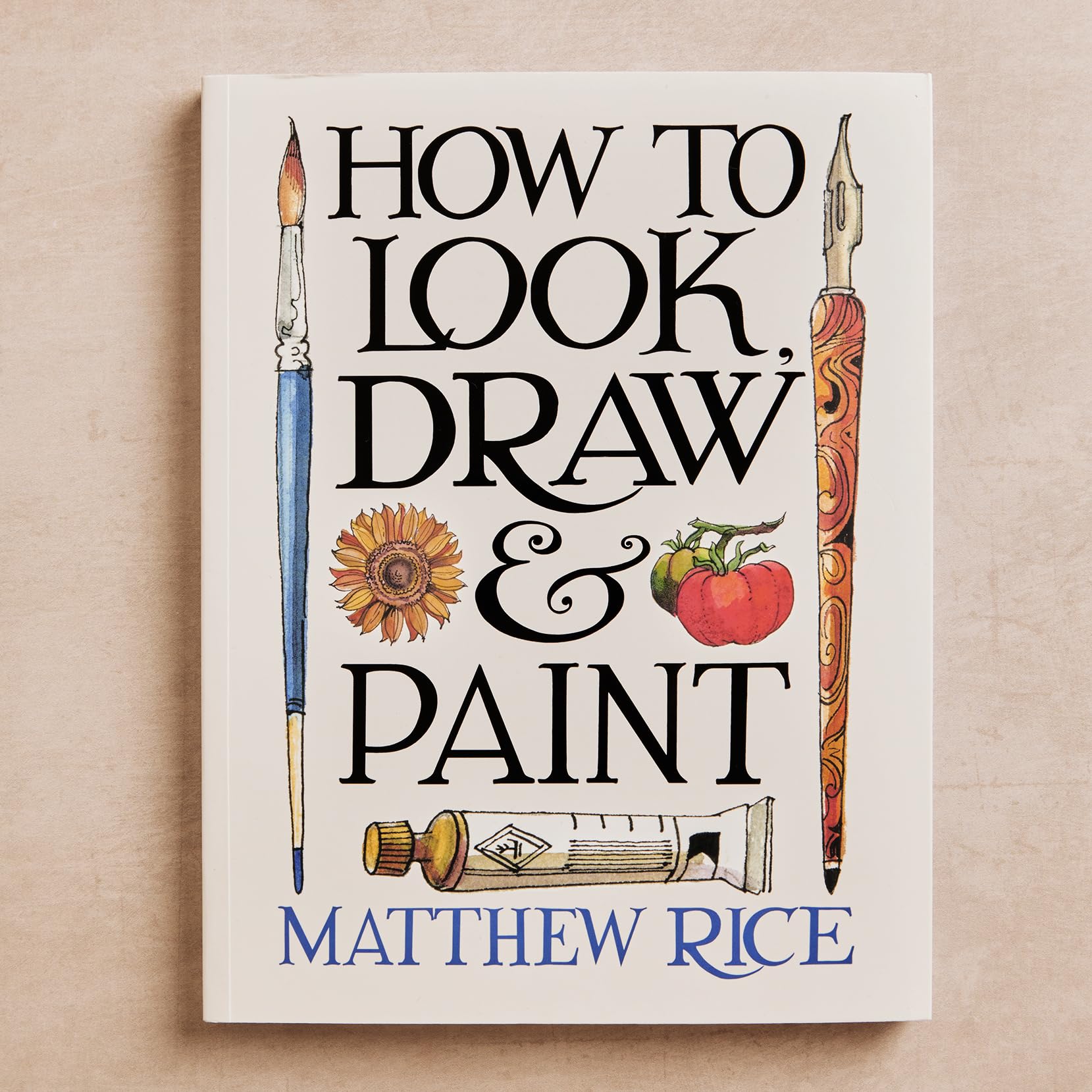 Ilex Press How to Look, Draw & Paint by Matthew Rice | Paperback