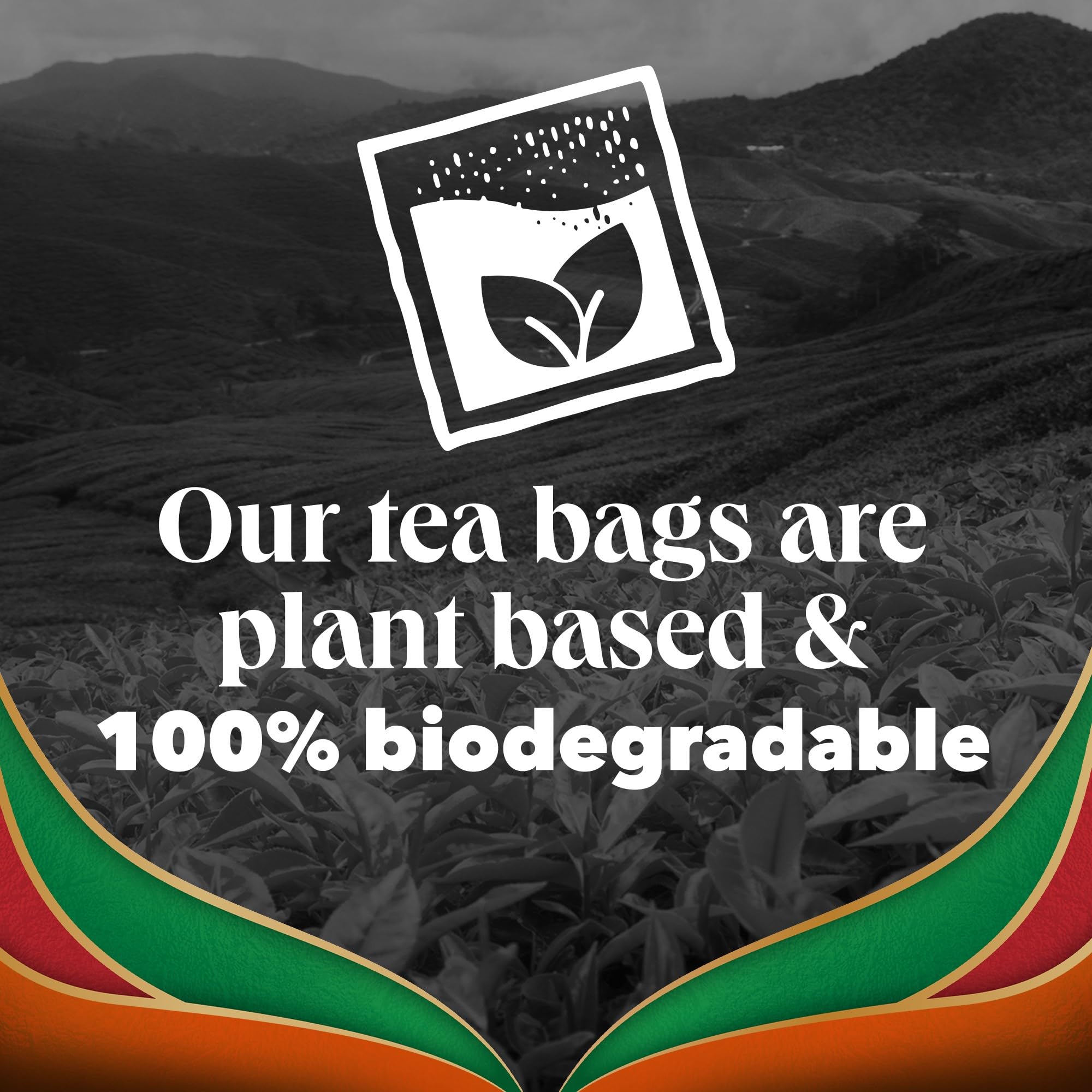 PG Tips - Special Blends Chai Tea Bags Bulk Pack 7