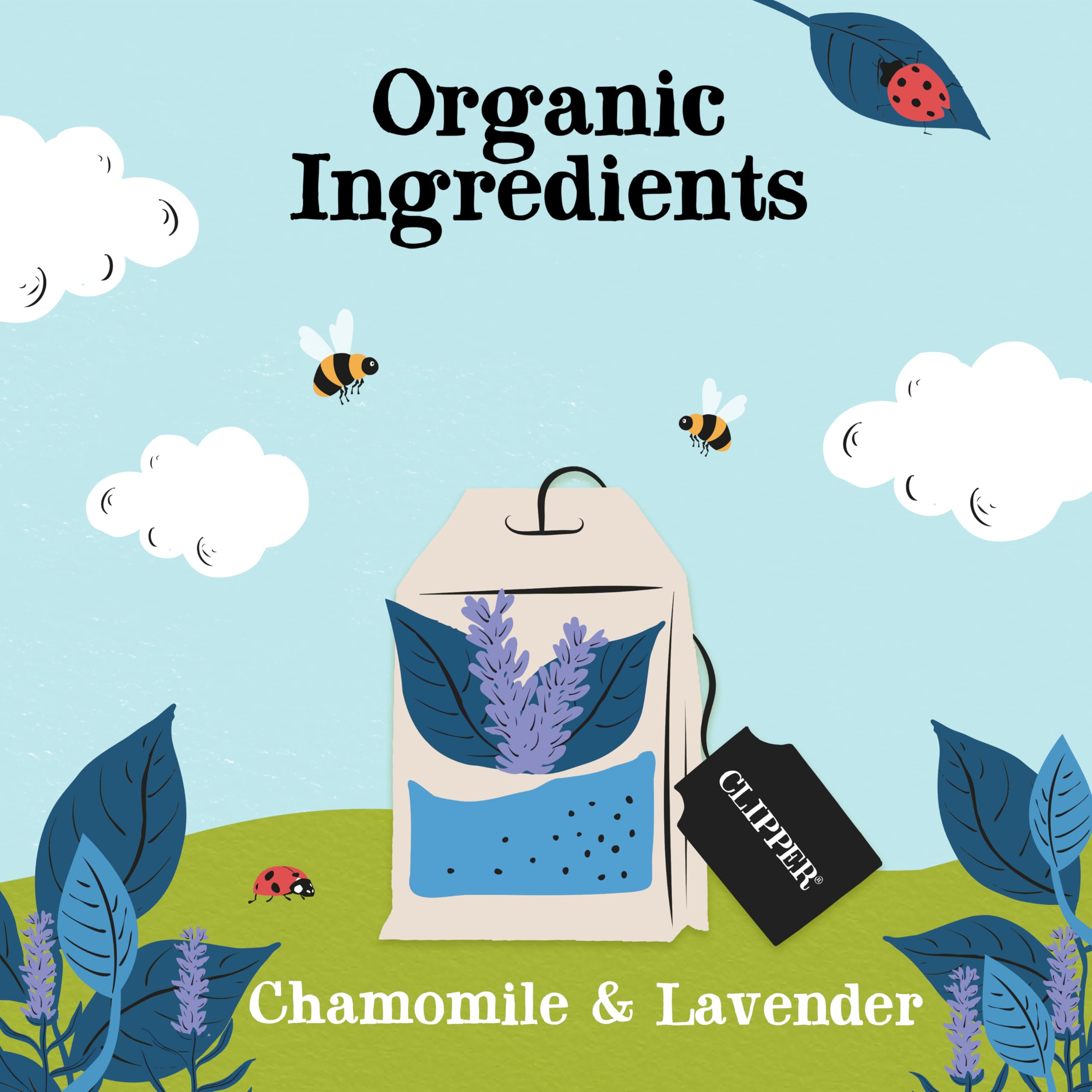 Clipper Organic Sleep Time Herbal Infusions Tea - Chamomile, Lemon Balm & Lavender | 4 x 20 Teabags 3