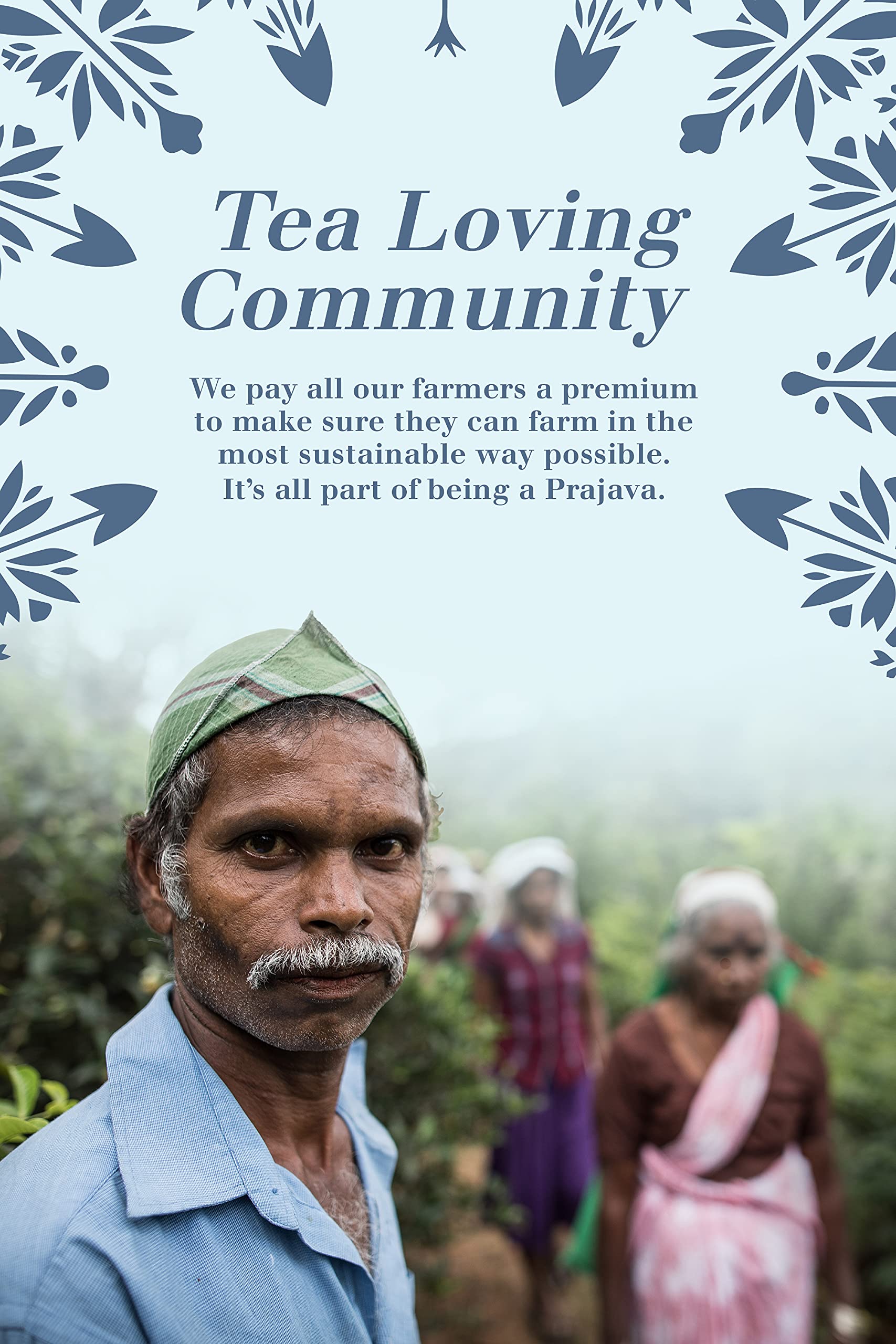 English Tea Shop Organic Wellness Tea Collection Prism - 12 Pyramid Tea Bags, 6 Flavours 4