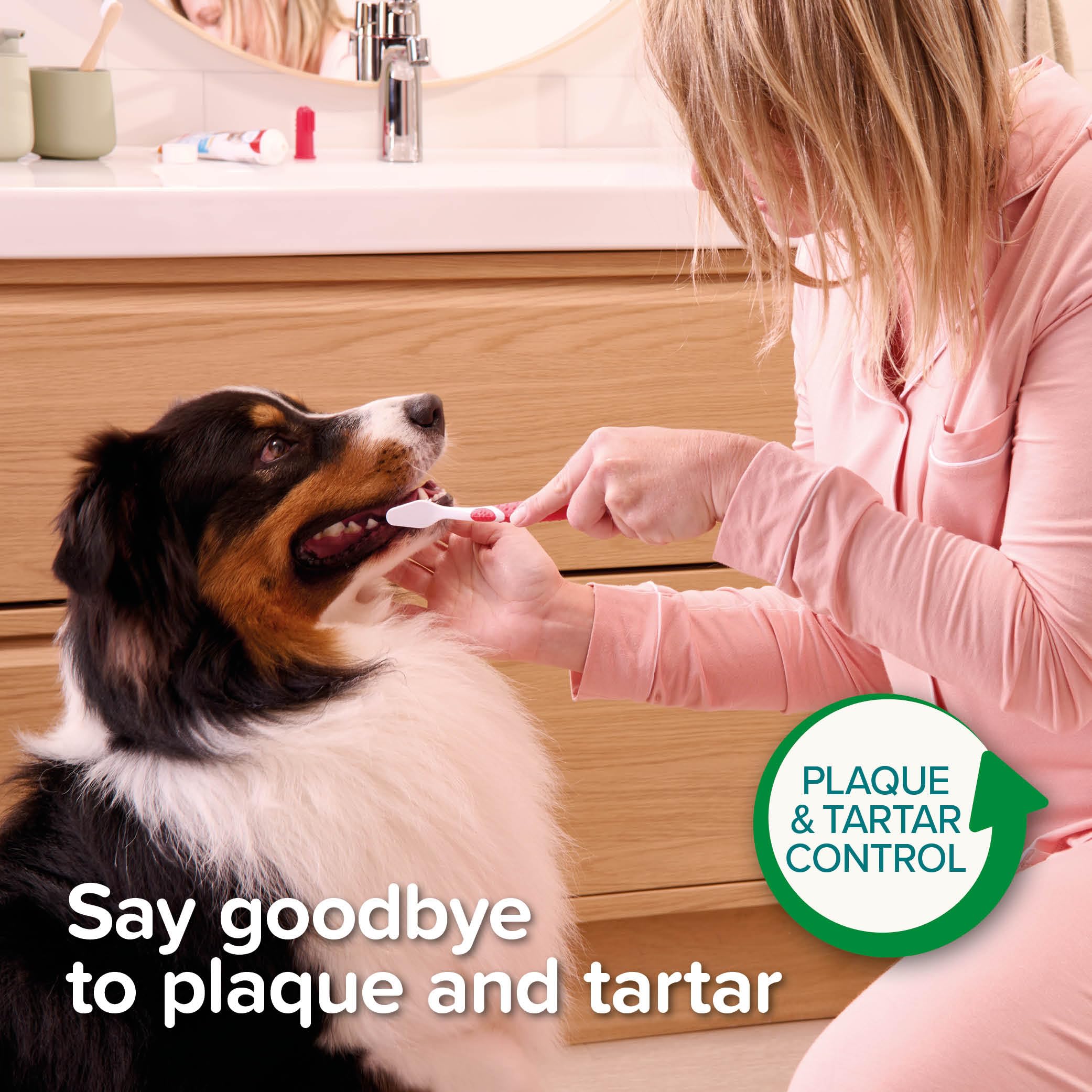 Beaphar Liver Flavour Toothpaste with Enzymes for Dogs & Cats | Plaque & Tartar Control | 100 g 6